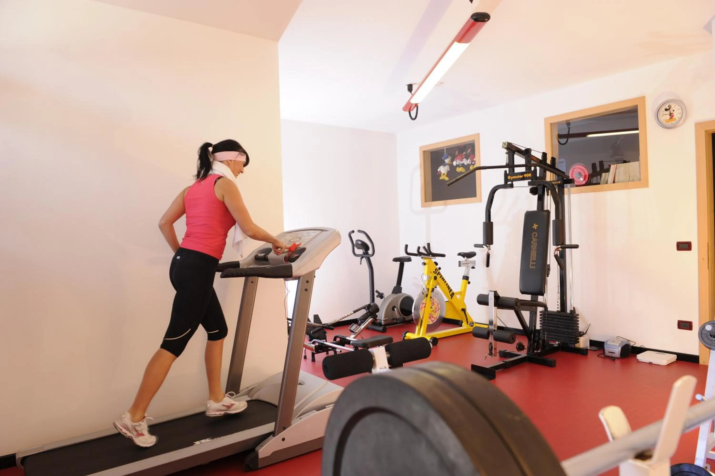 Fitness centre/facilities in Alpine Touring Hotel-petfriendly