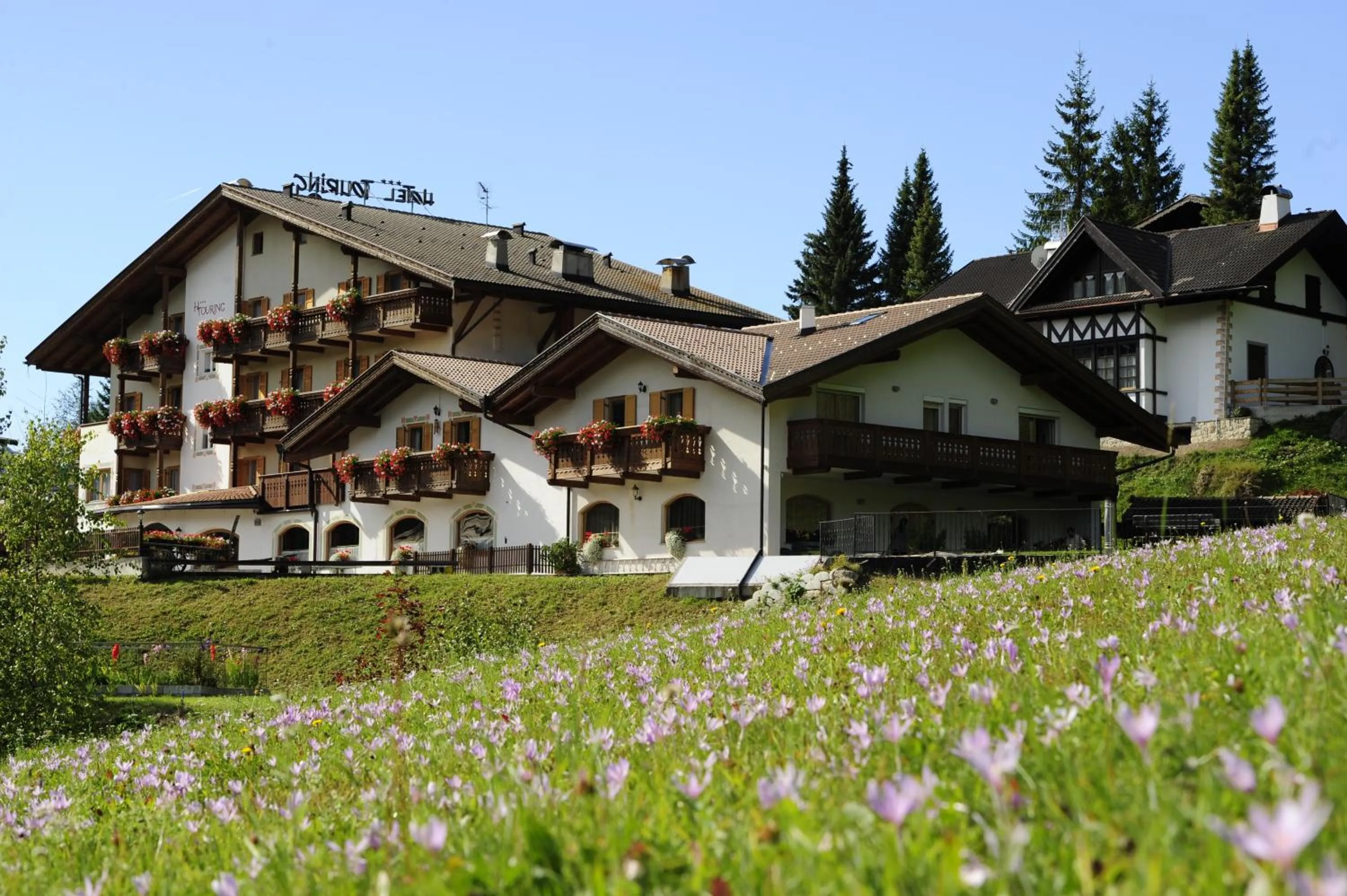 Garden in Alpine Touring Hotel-petfriendly