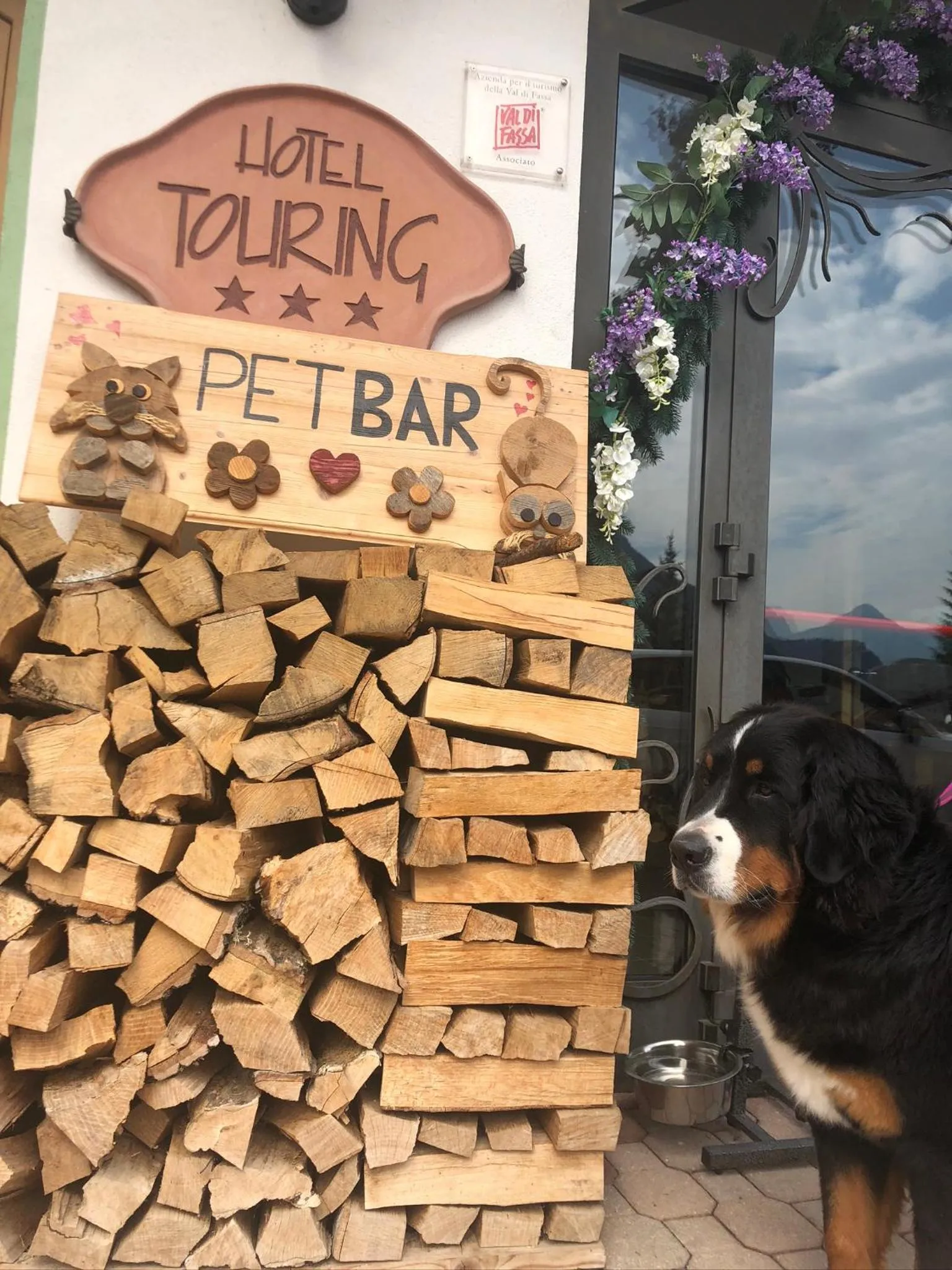Animals in Alpine Touring Hotel-petfriendly