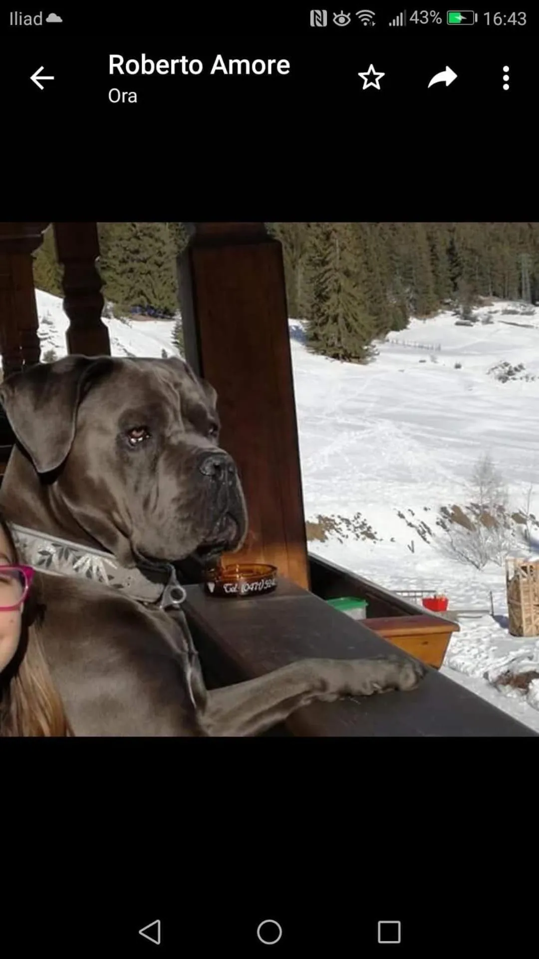 Animals in Alpine Touring Hotel-petfriendly