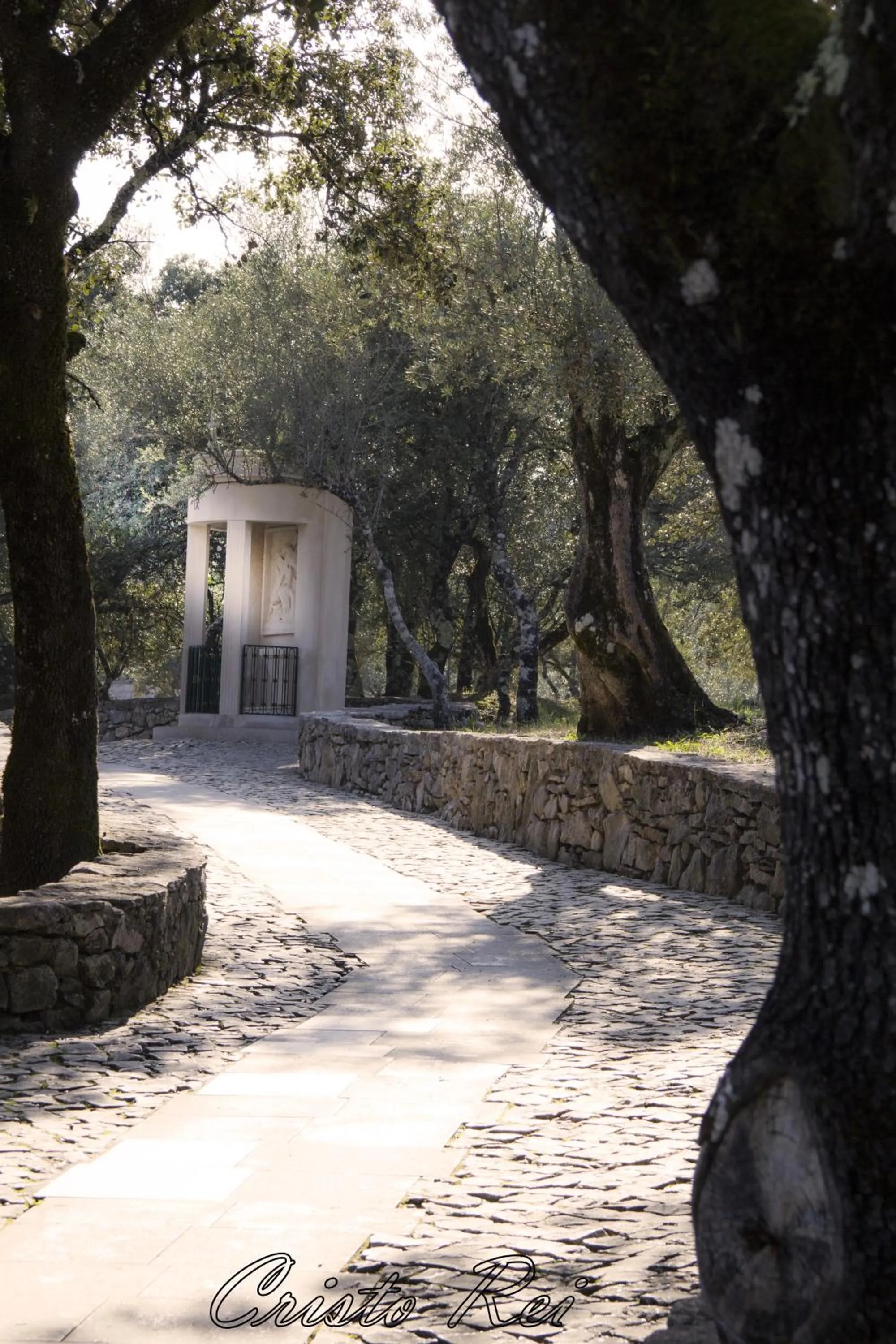 Area and facilities in Hotel Cristo Rei - Fatima