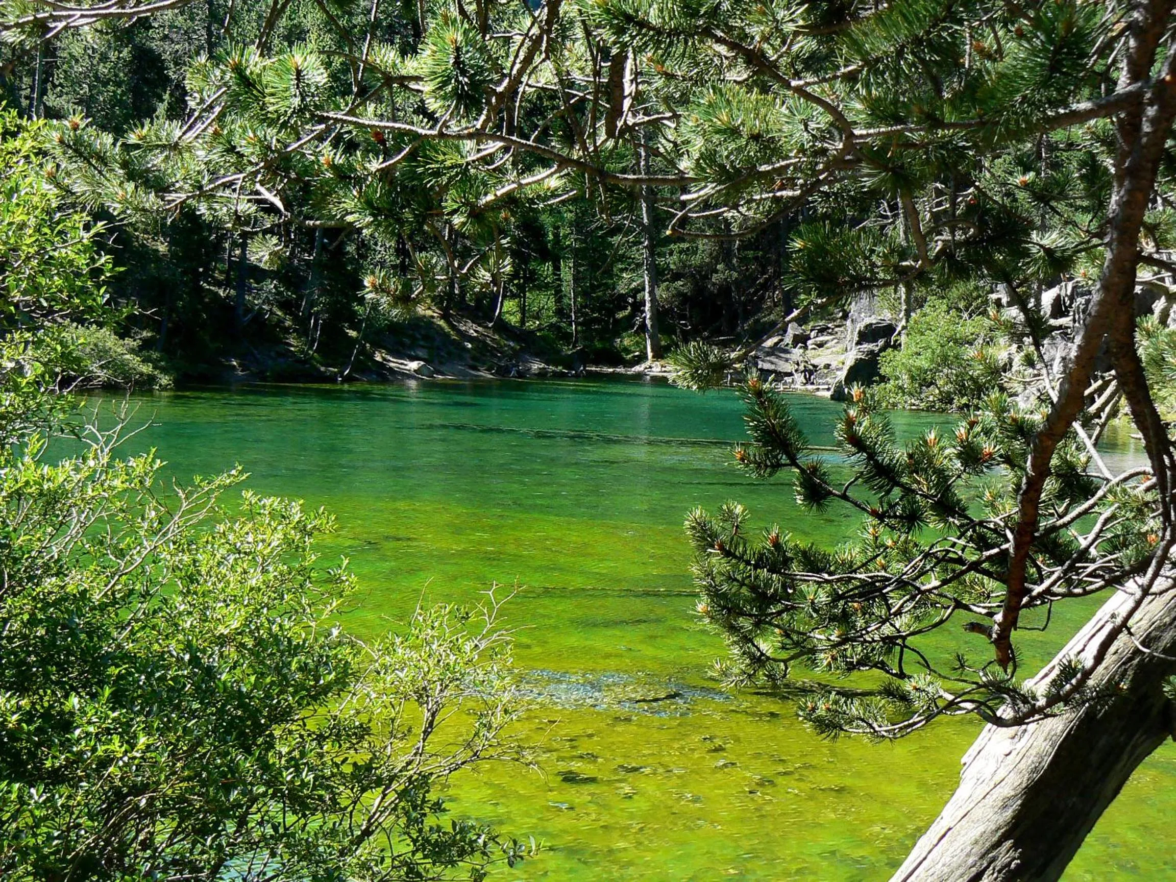 Area and facilities in Hotel Oberje Dla Viere