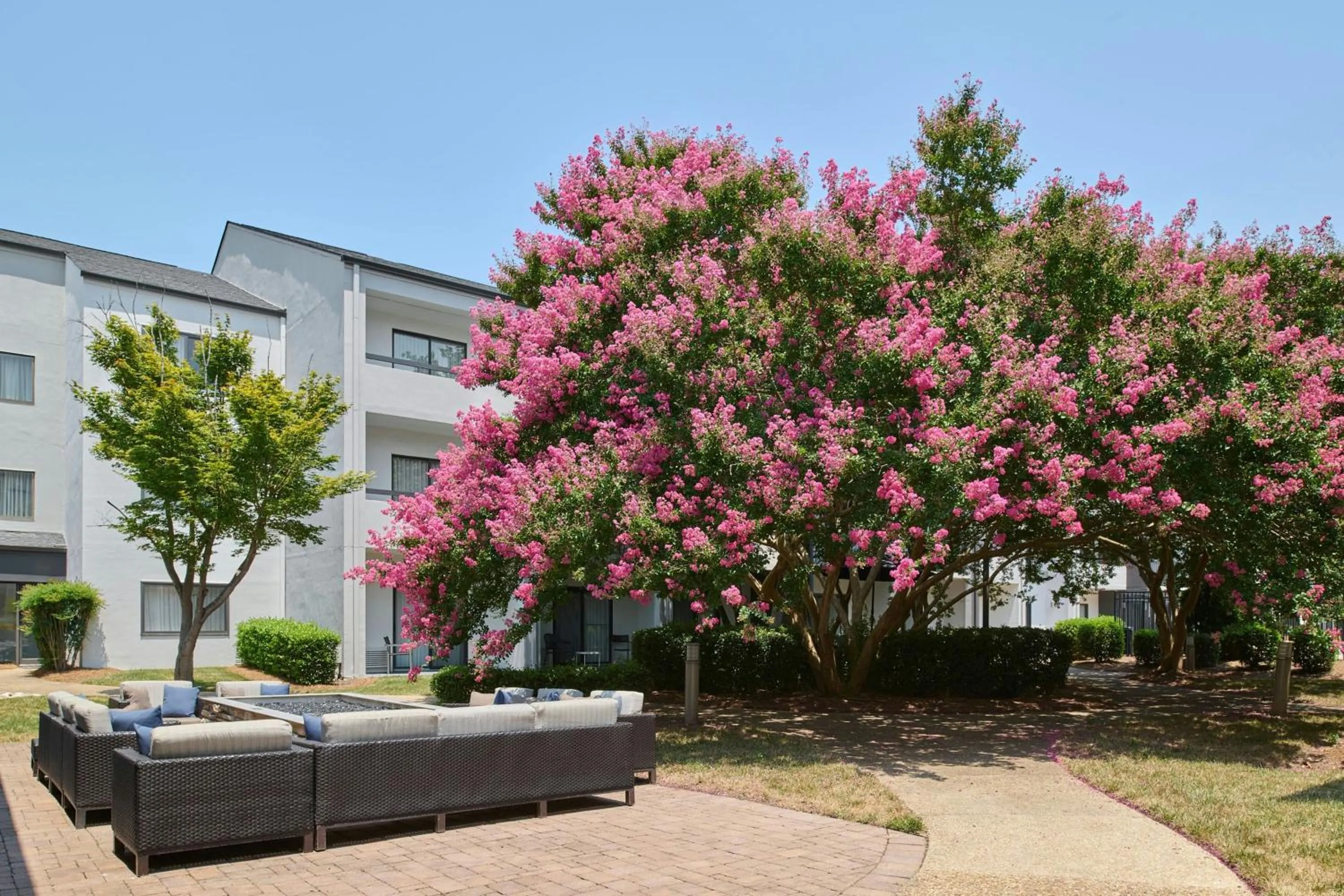 Other in Courtyard Charlotte Arrowood