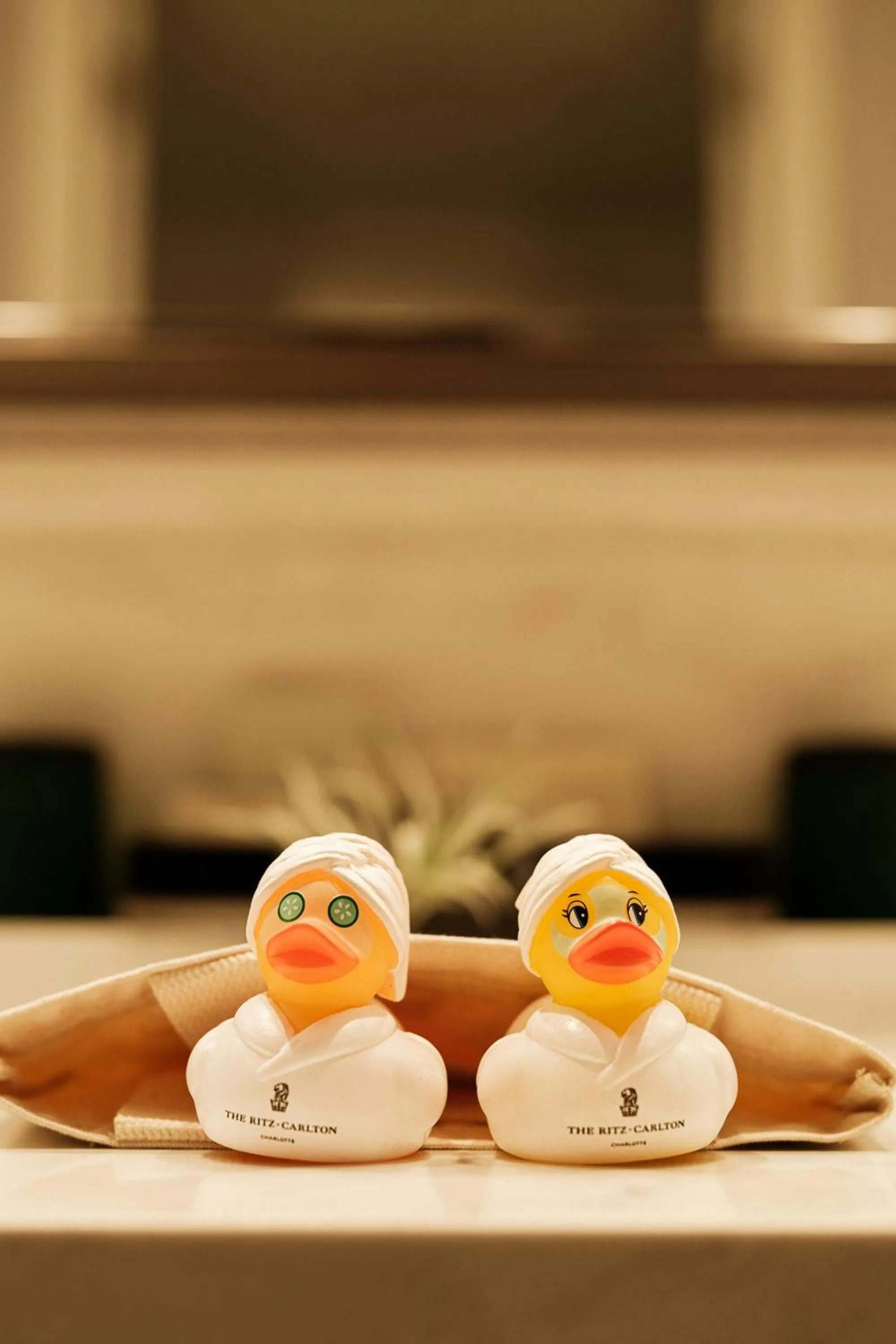 Spa and wellness centre/facilities in The Ritz-Carlton, Charlotte