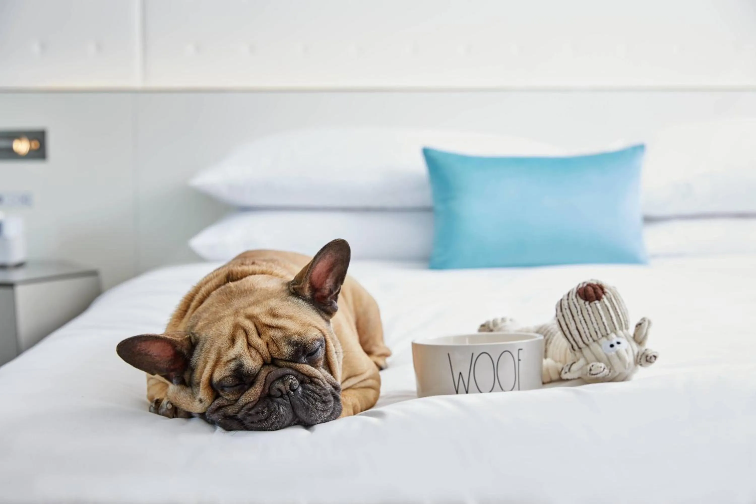 Other, Bed in Renaissance Charlotte SouthPark Hotel