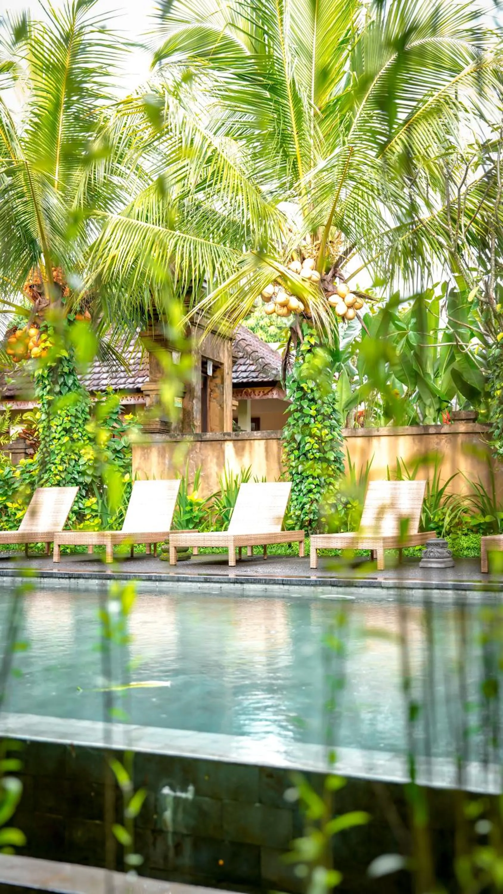 Swimming pool in Swahita Ubud
