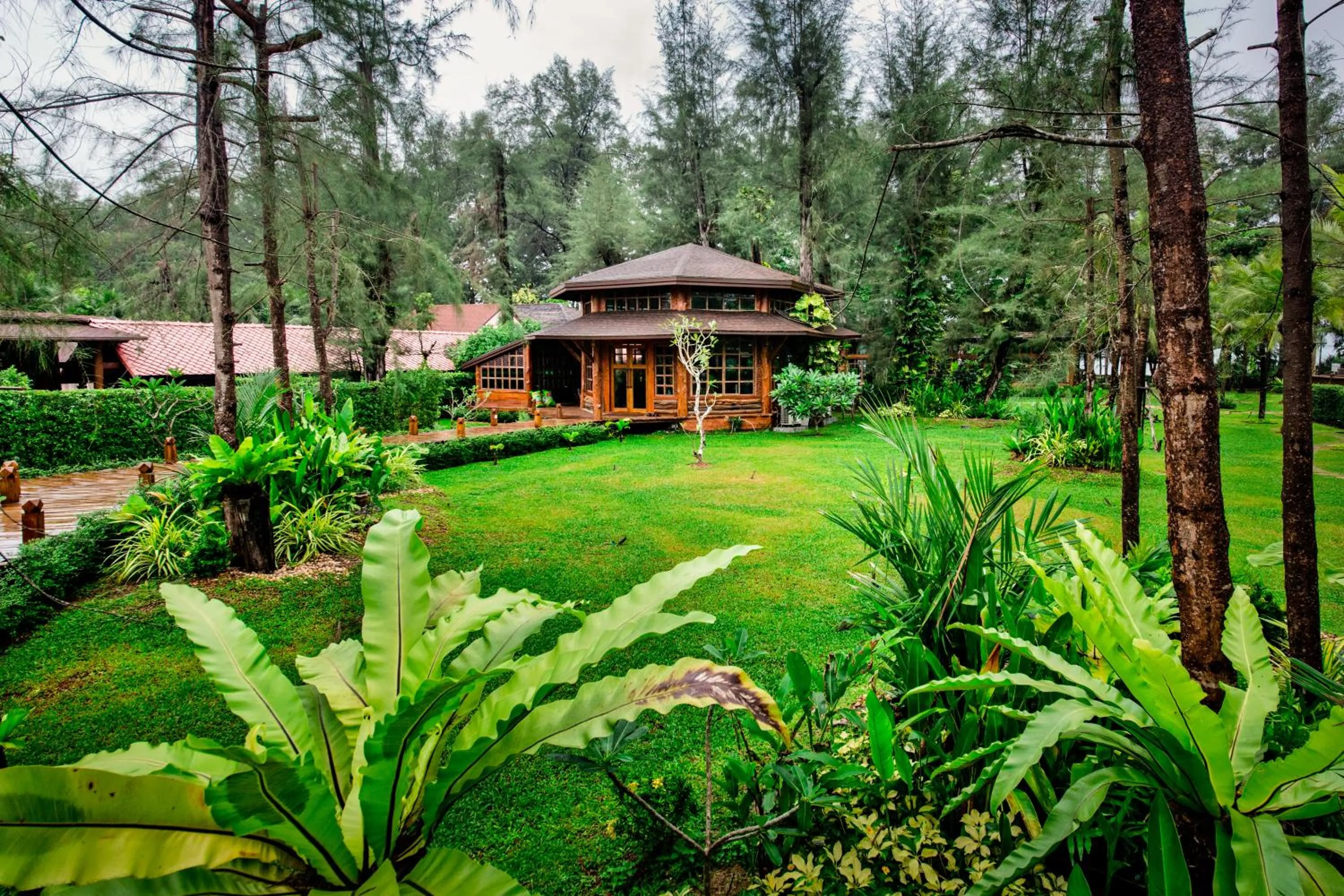 Garden view in Naiyang Park Resort - SHA Extra Plus