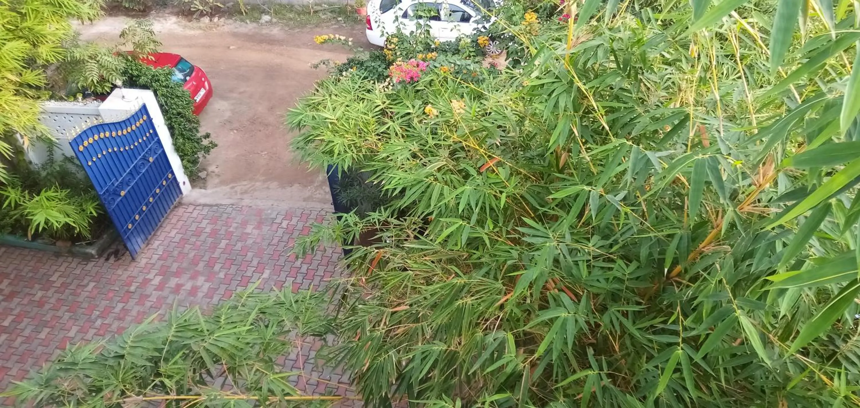 Meya Beach Walk Hotel