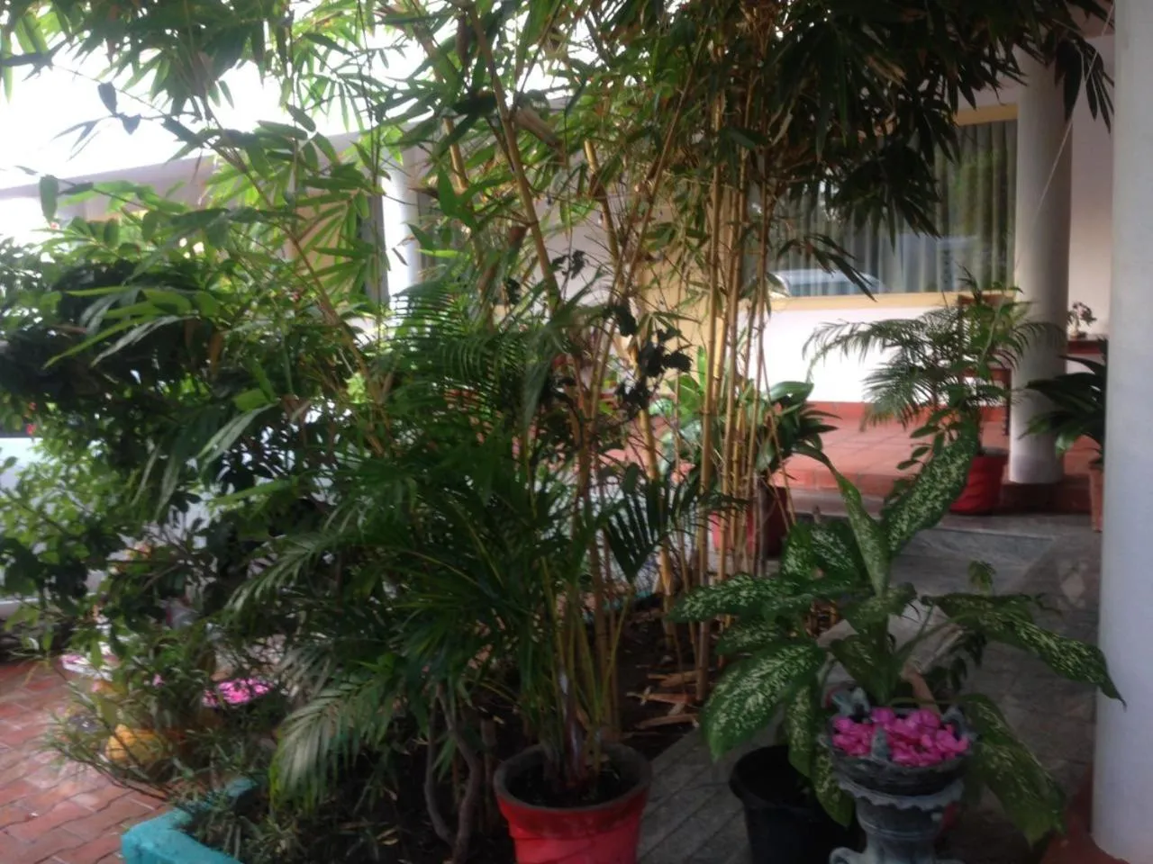 Meya Beach Walk Hotel