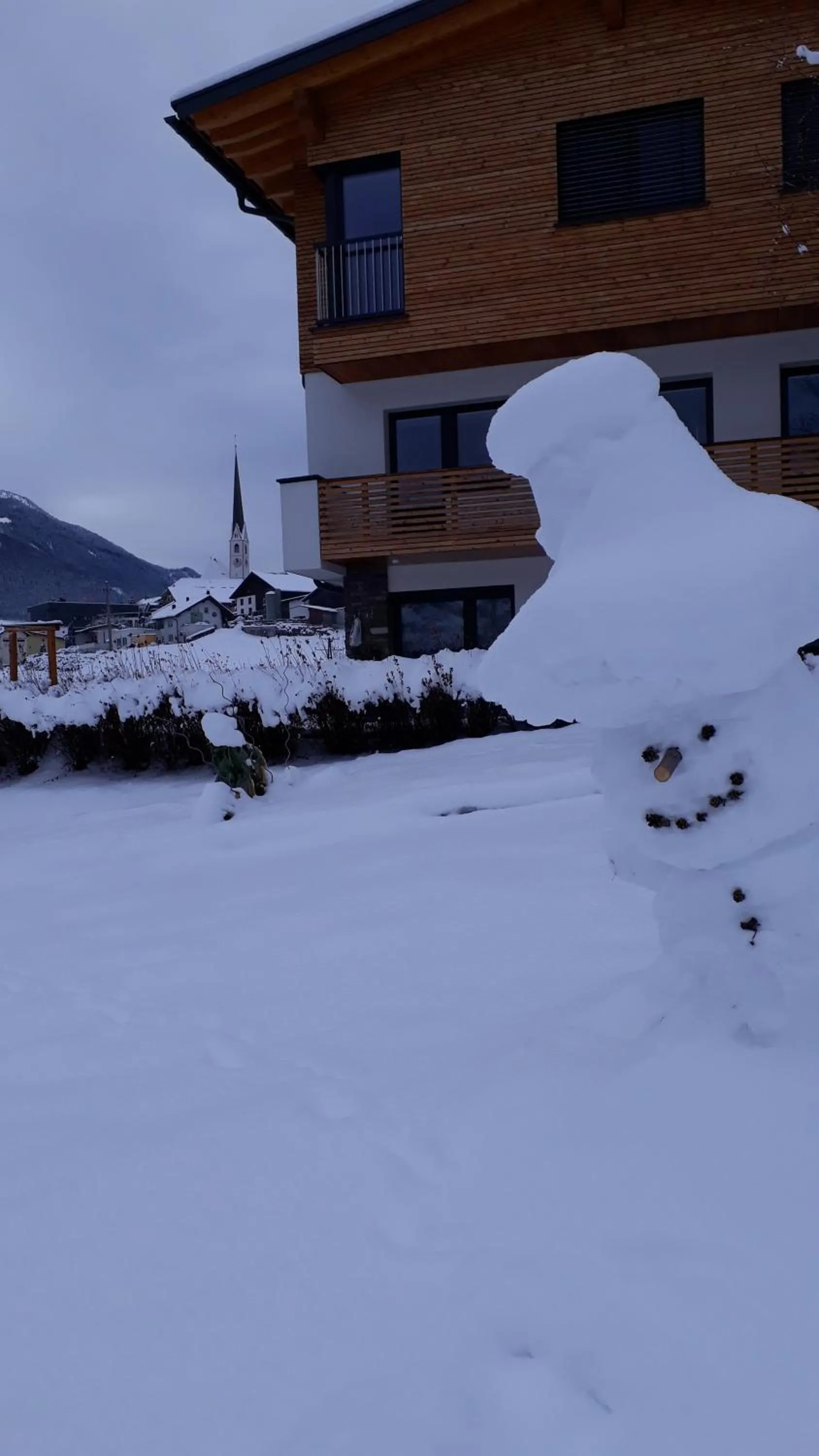 Property building in Neuner Charlotte incl Skidepot an der Hochzeigerbahn