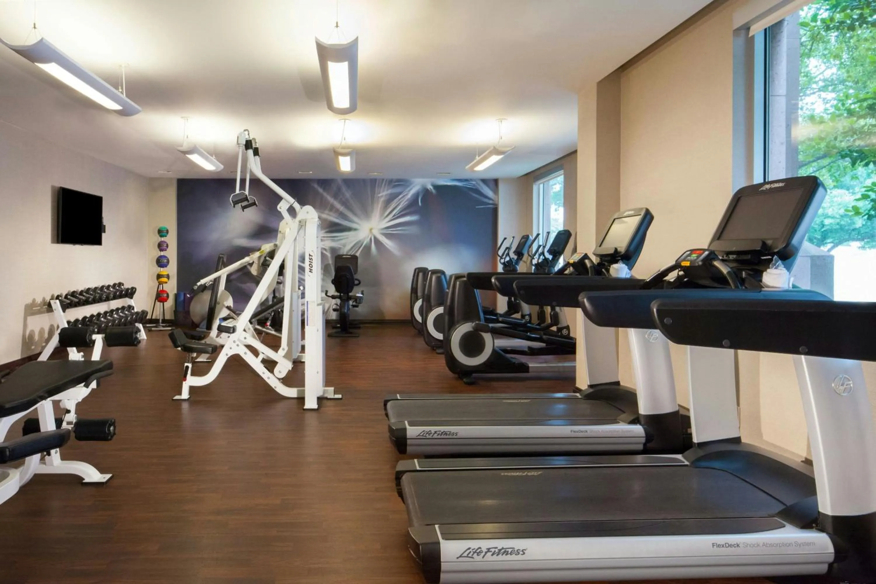 Fitness centre/facilities in Dallas Marriott Suites Medical/Market Center