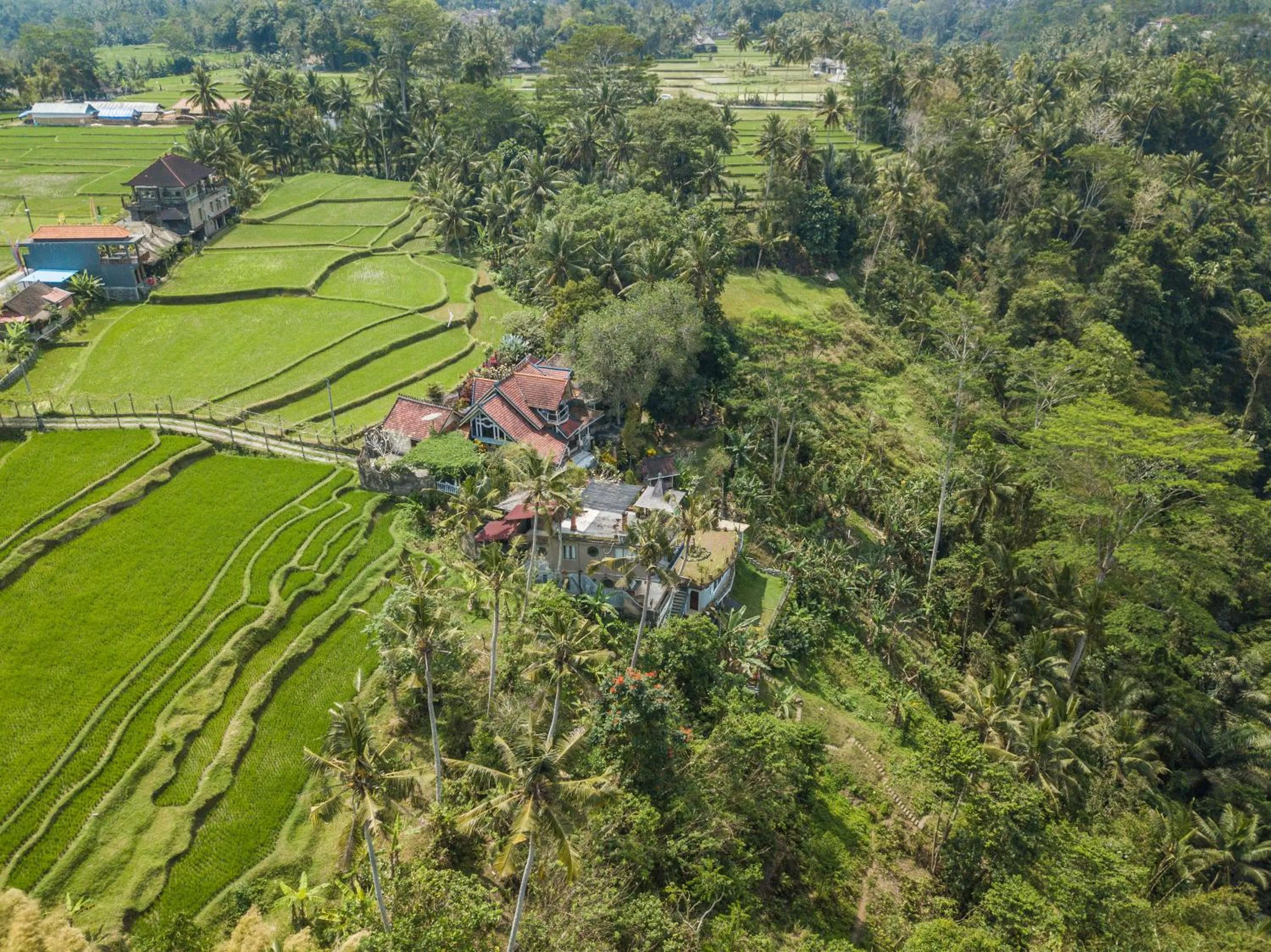 Natural landscape in Tirta Asri Ubud Villa