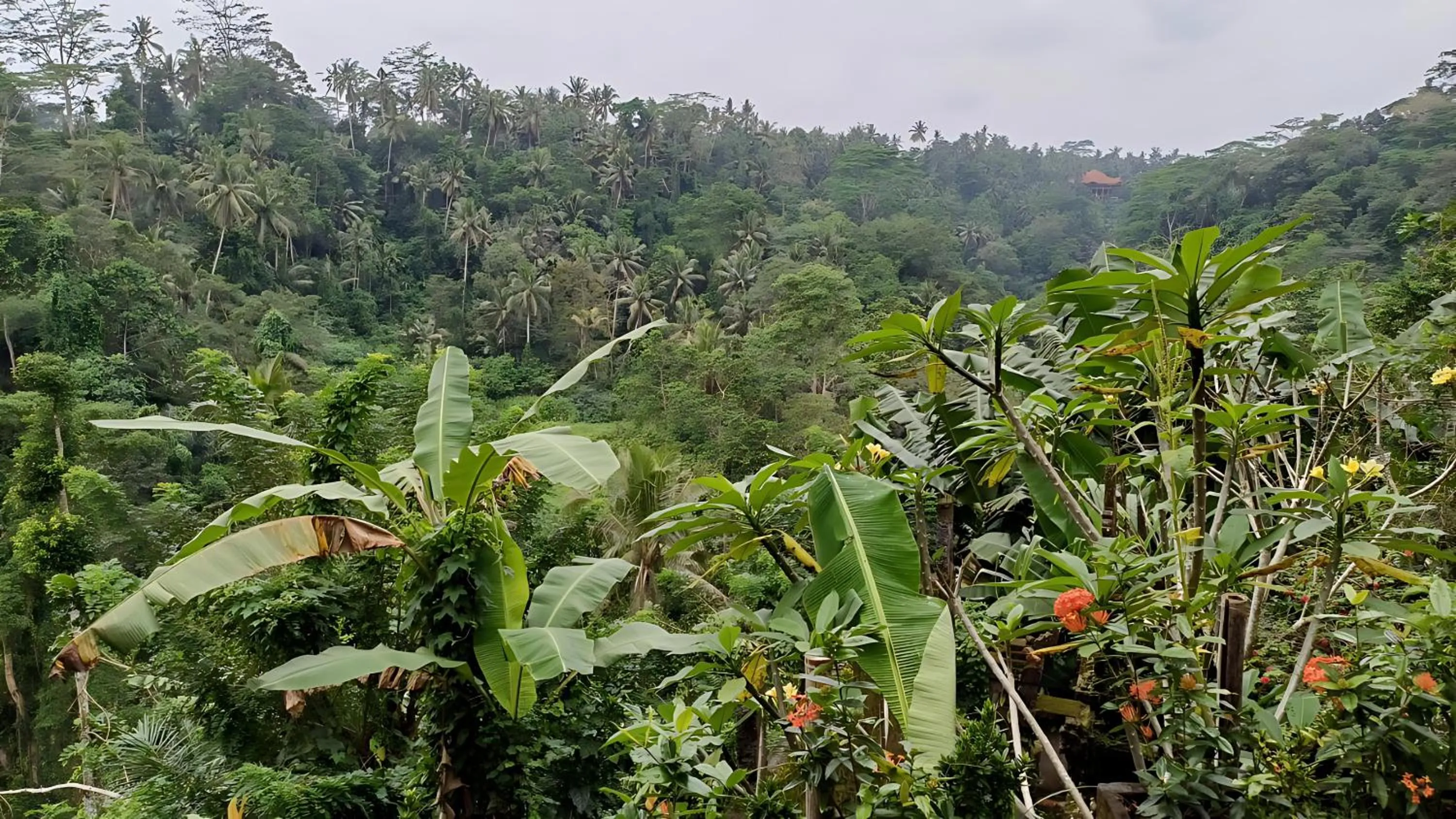 Mountain view in Tirta Asri Ubud Villa