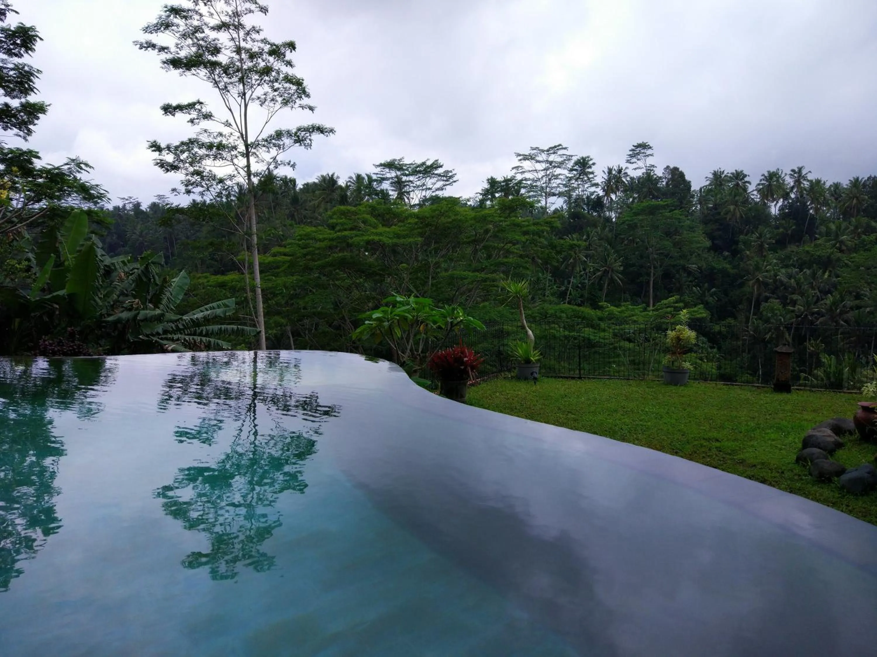 Natural landscape in Tirta Asri Ubud Villa