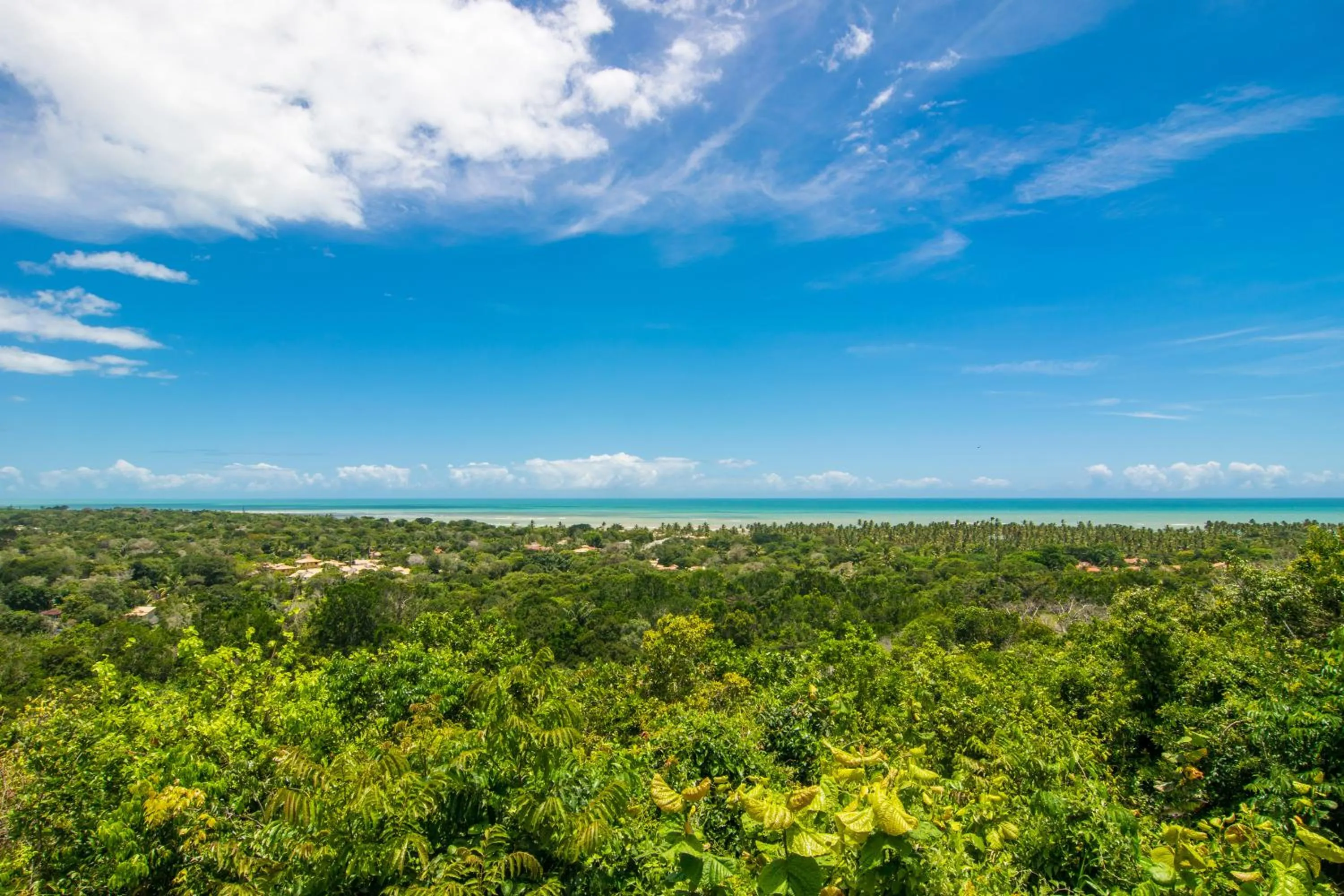 Spring in Manacá Pousada Parque