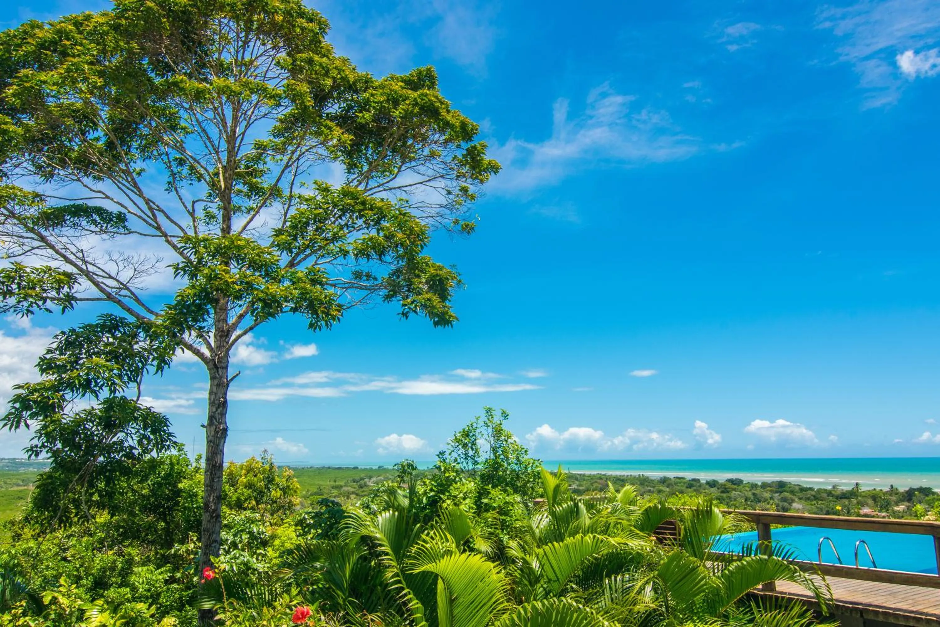 Pool view in Manacá Pousada Parque