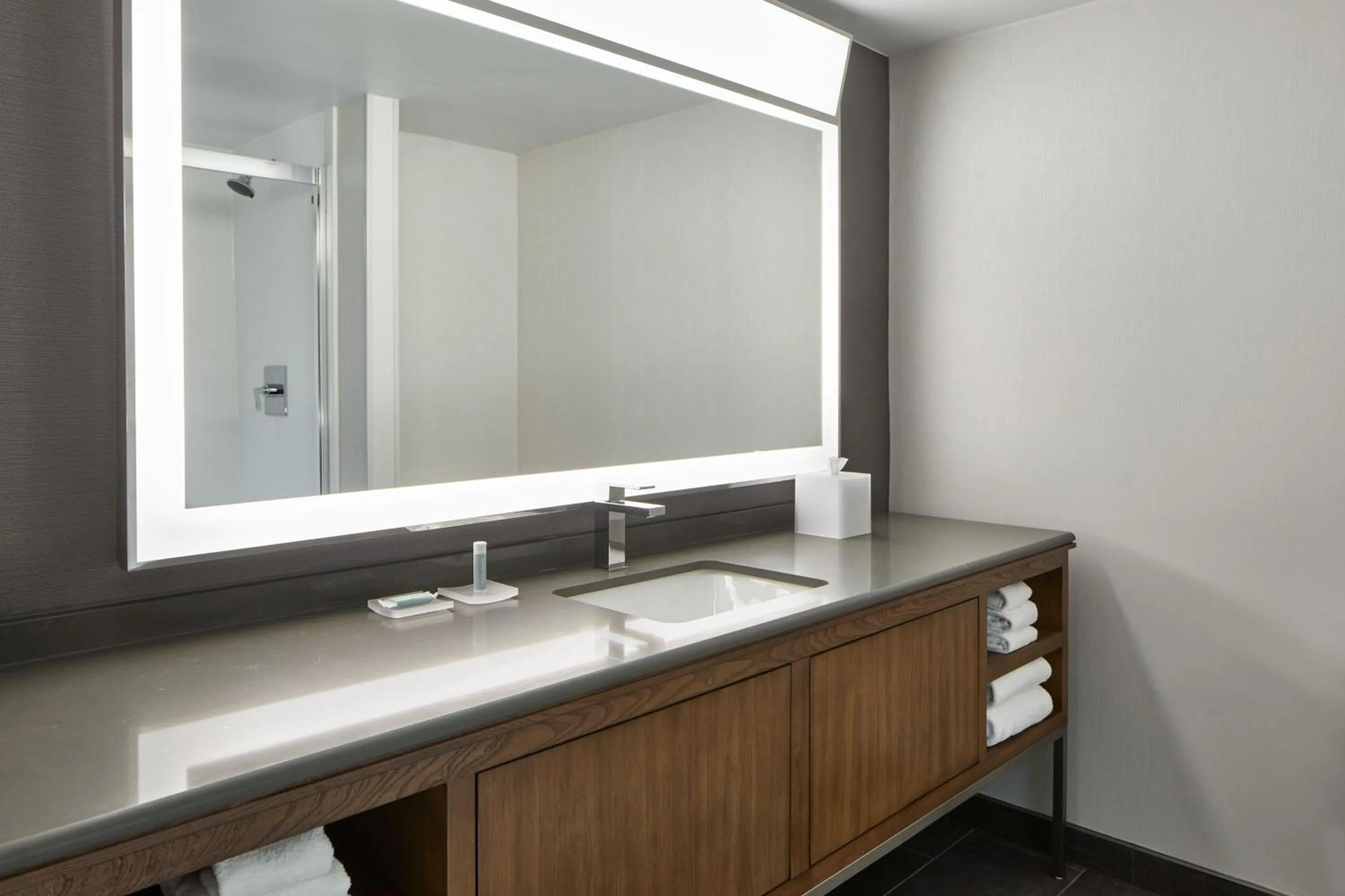 Bathroom in Courtyard by Marriott Detroit Downtown