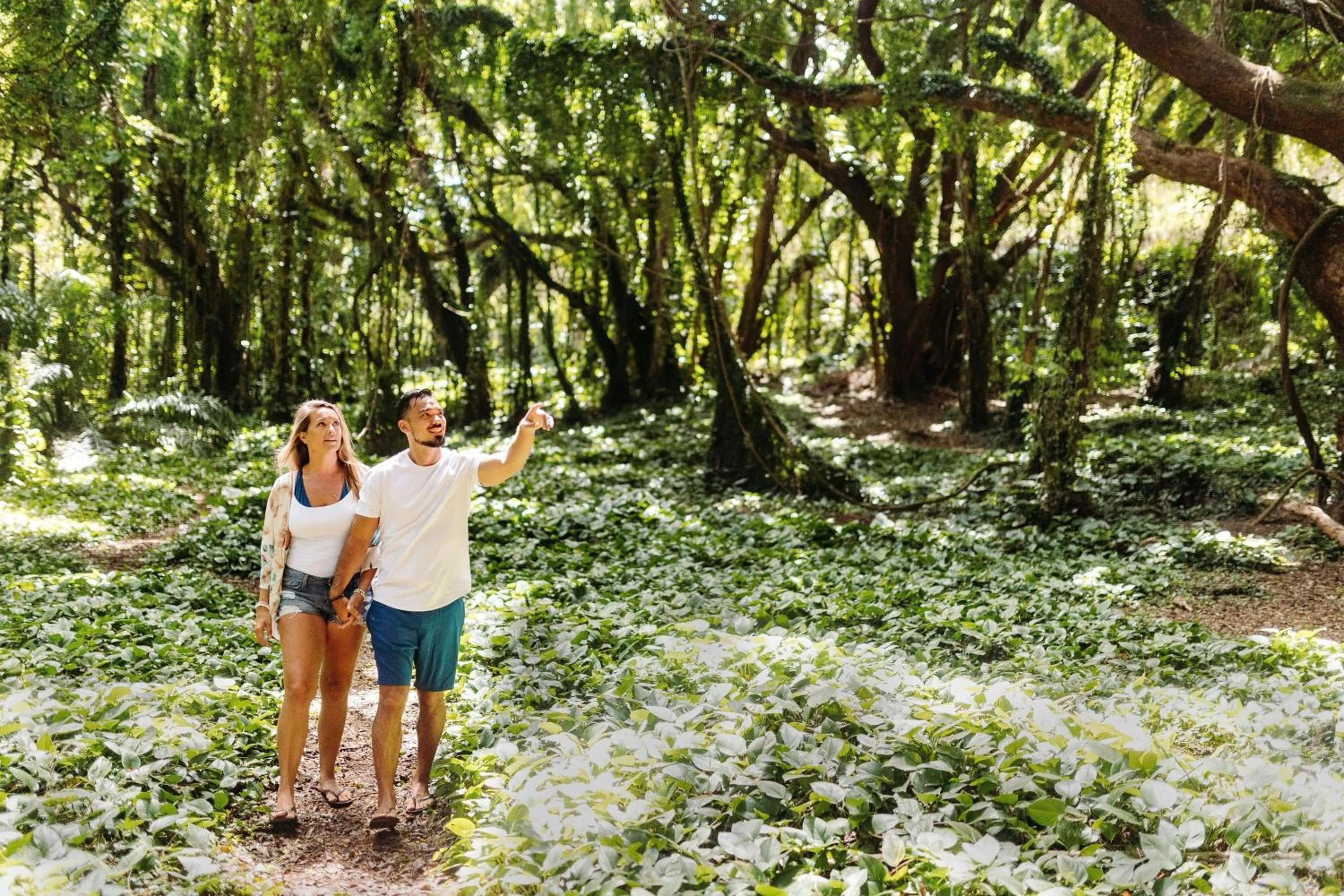 Other in Marriott's Maui Ocean Club - Molokai, Maui & Lanai Towers