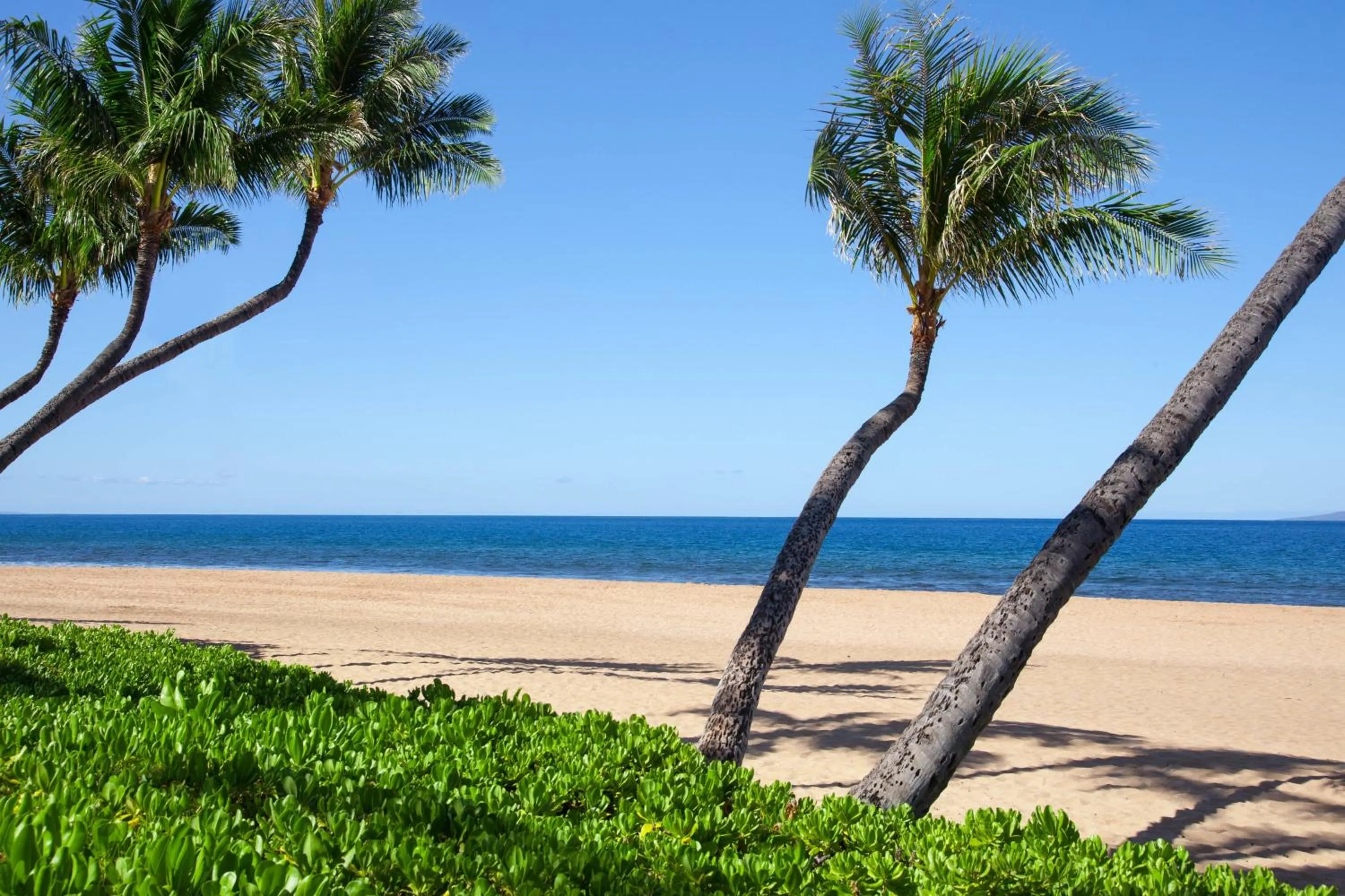 Beach in Marriott's Maui Ocean Club - Lahaina & Napili Towers