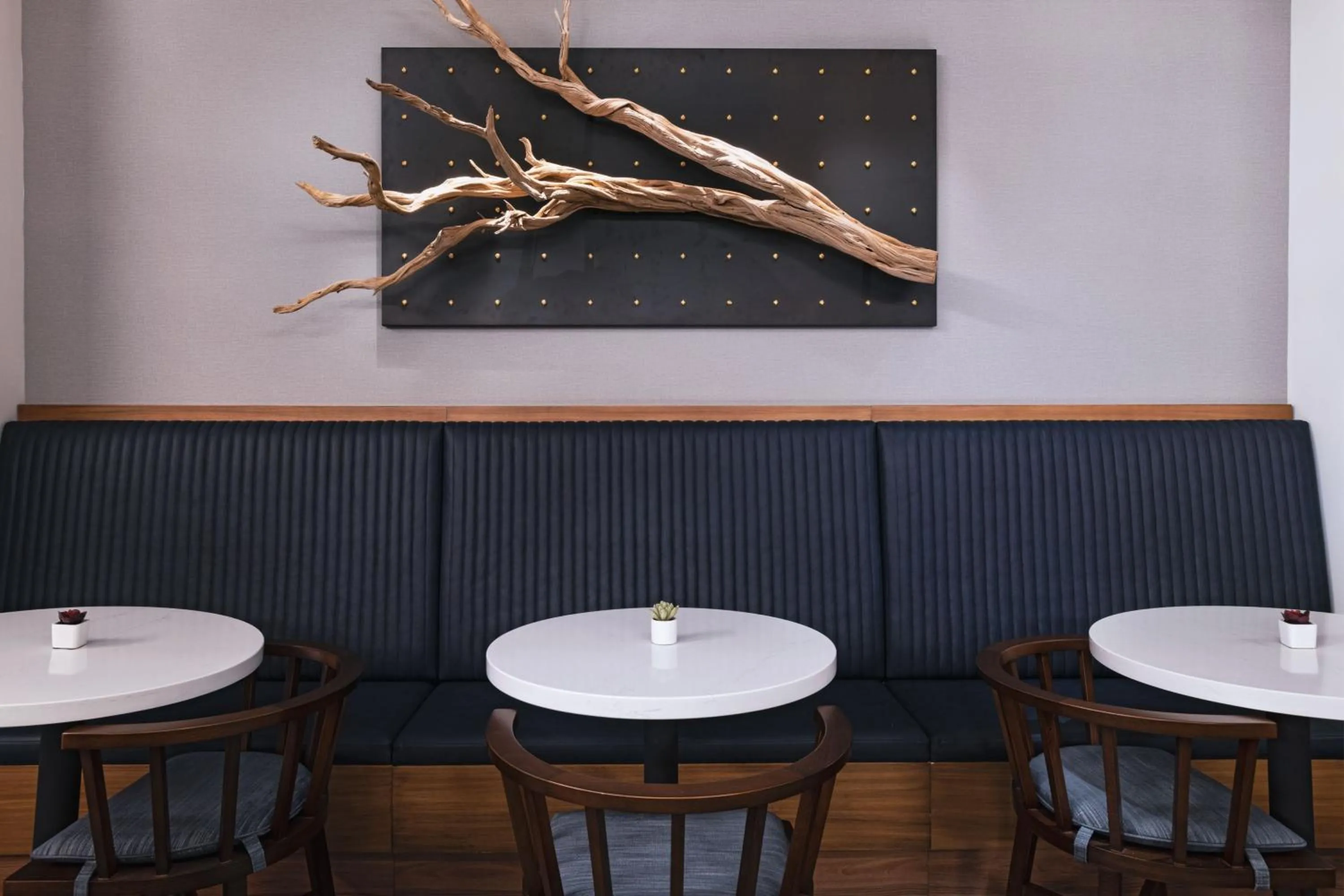 Lounge or bar in Houston Marriott Medical Center/Museum District