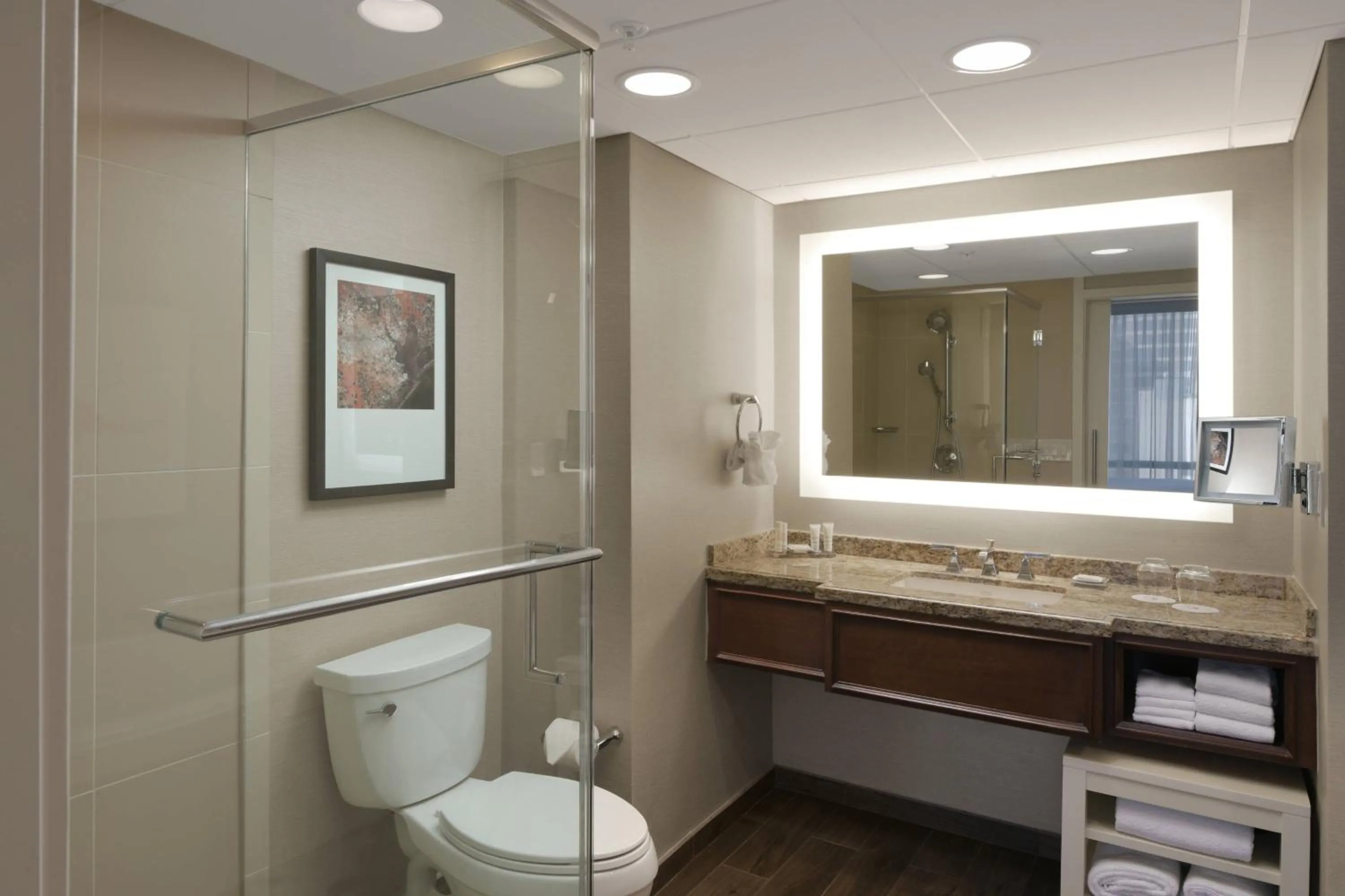 Bathroom in Houston Marriott Medical Center/Museum District