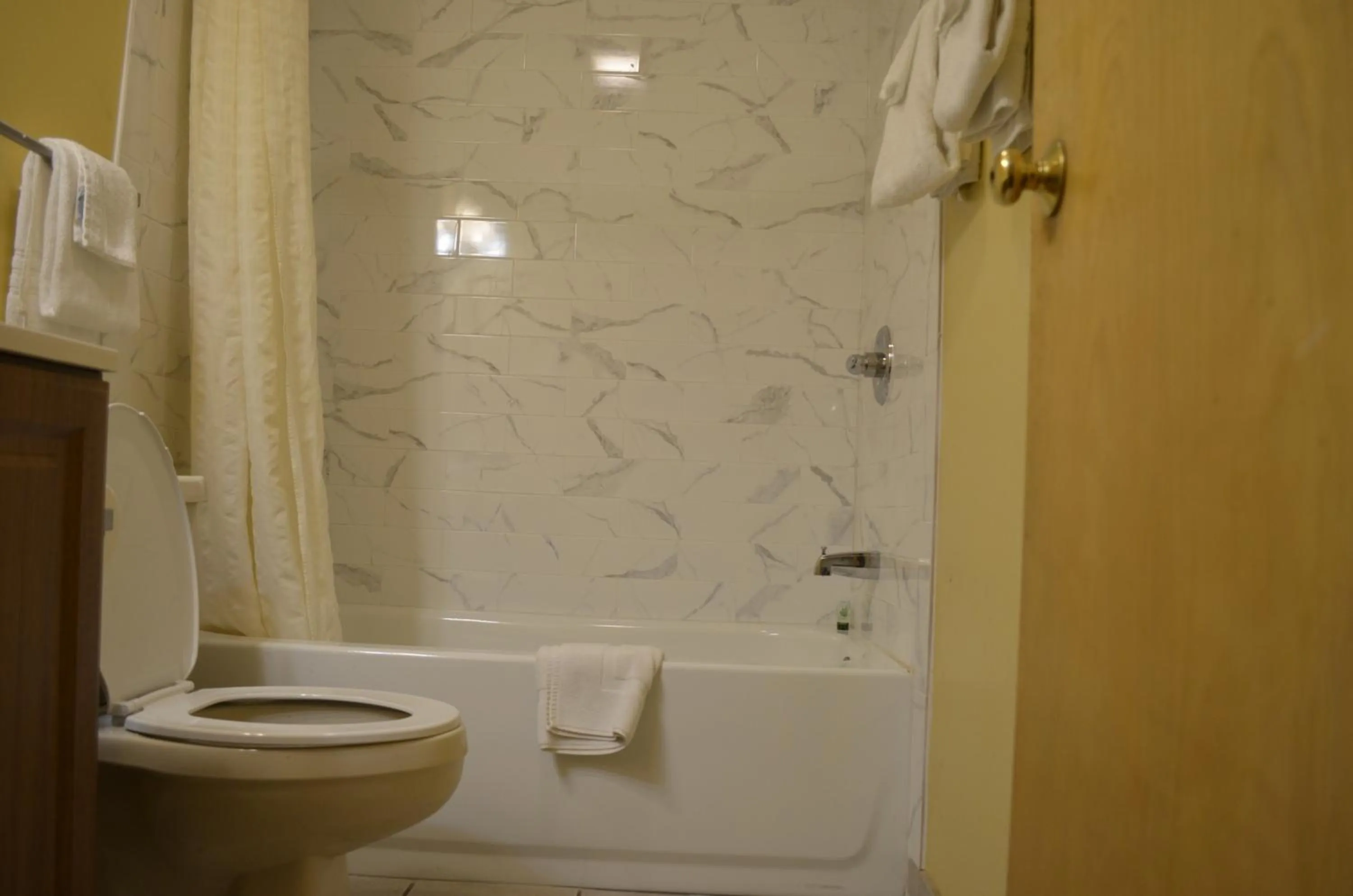 Bathroom in Budget Inn Williamsville