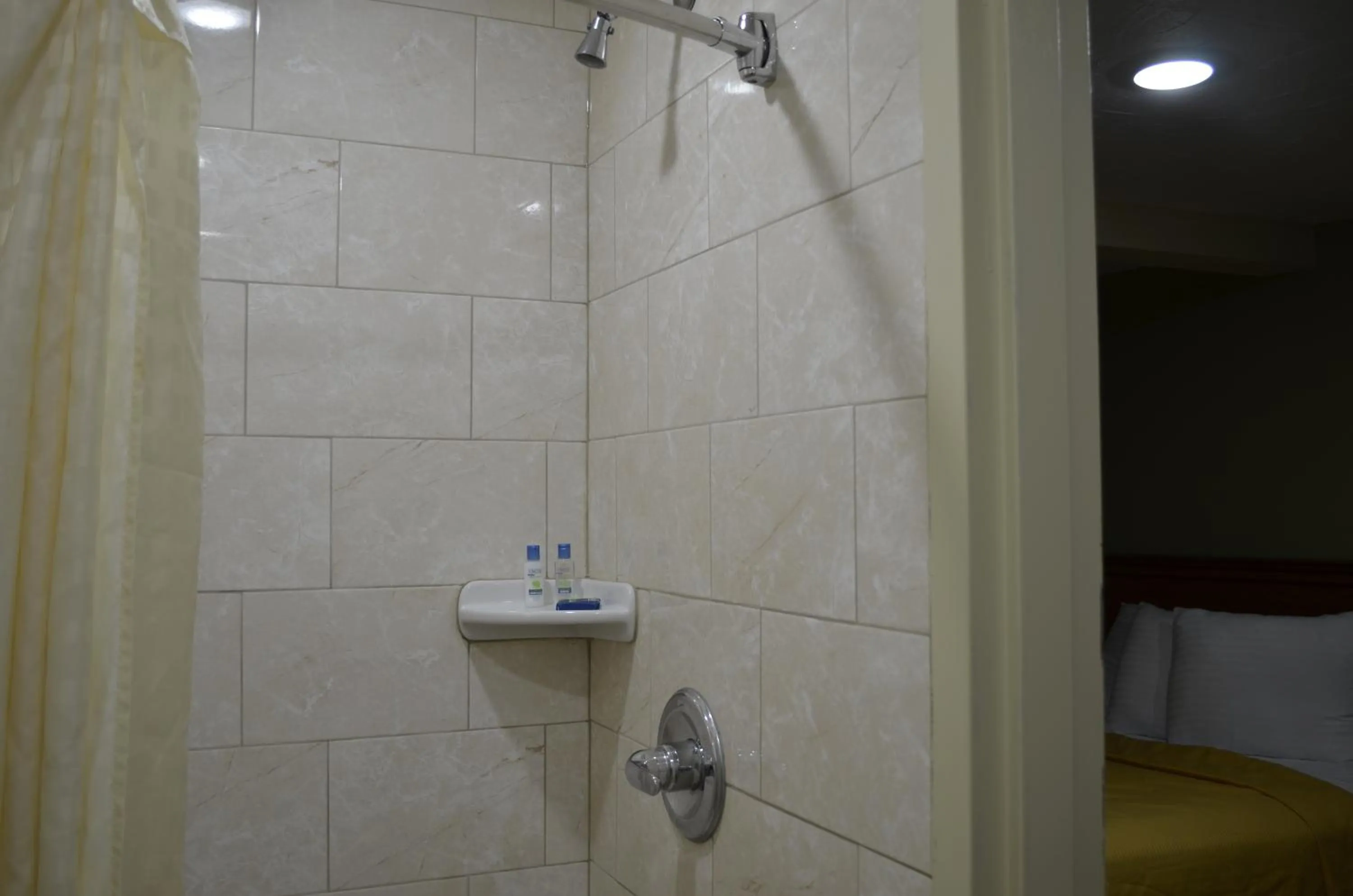 Bathroom in Budget Inn Williamsville