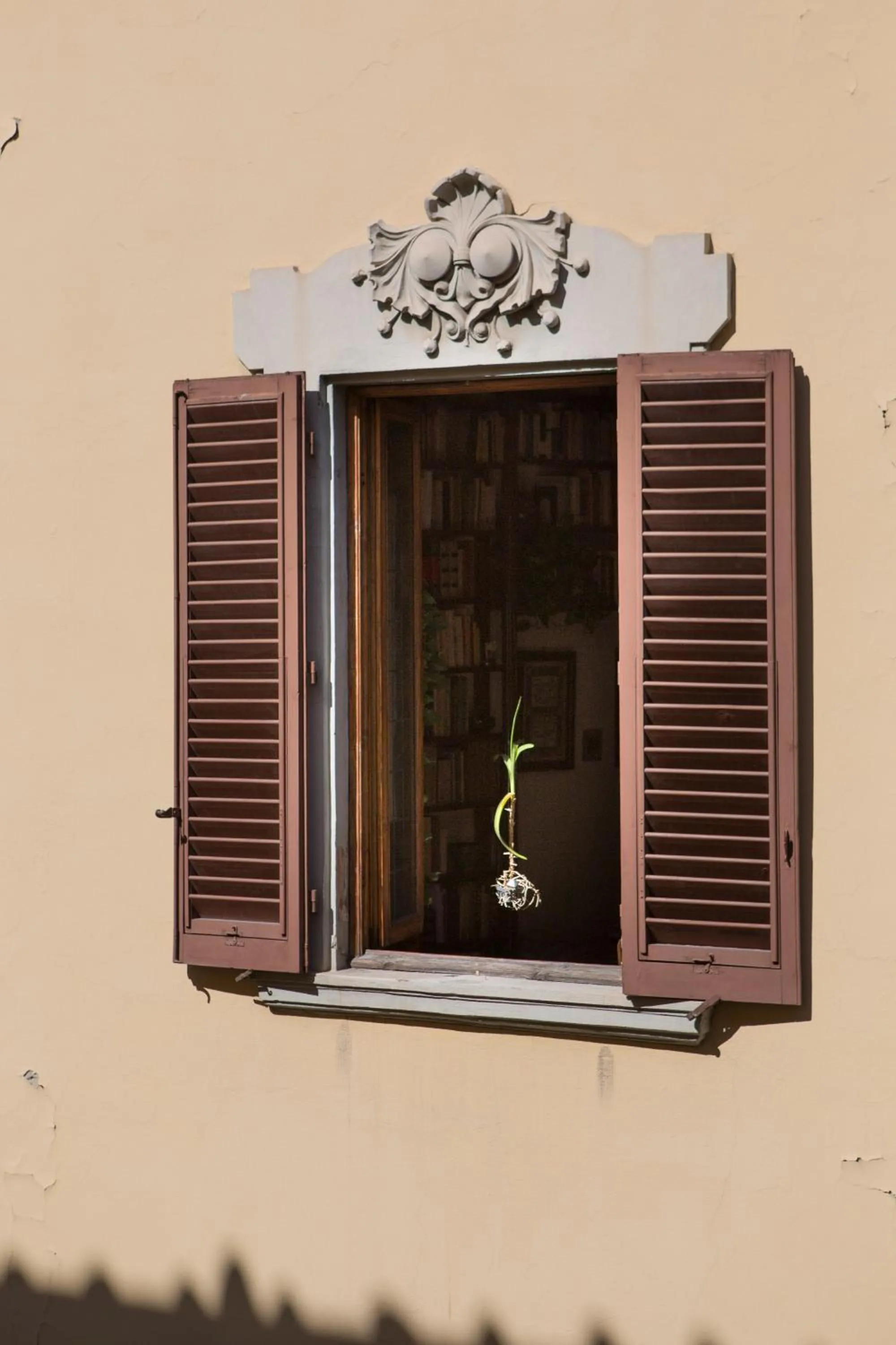 Property building in Coderooms