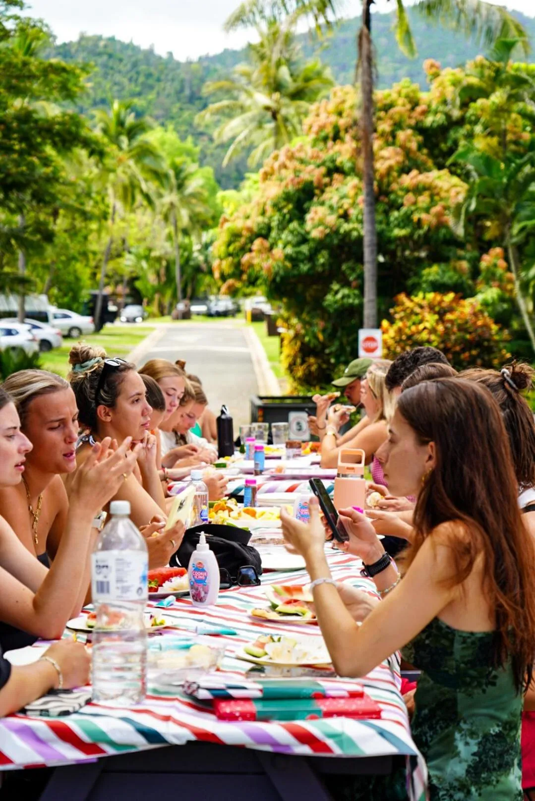 Natural landscape in Nomads Airlie Beach