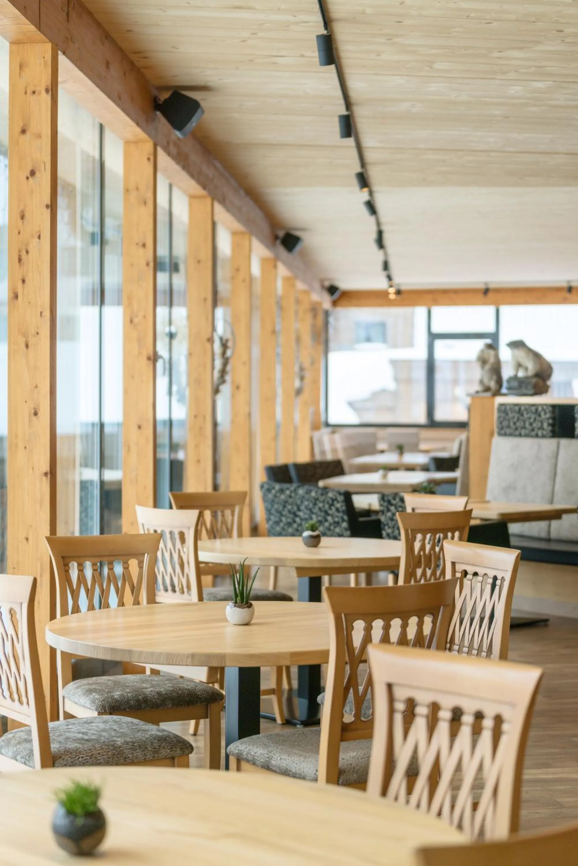 Restaurant/places to eat in Appartement & Suiten Hotel Glöcknerin