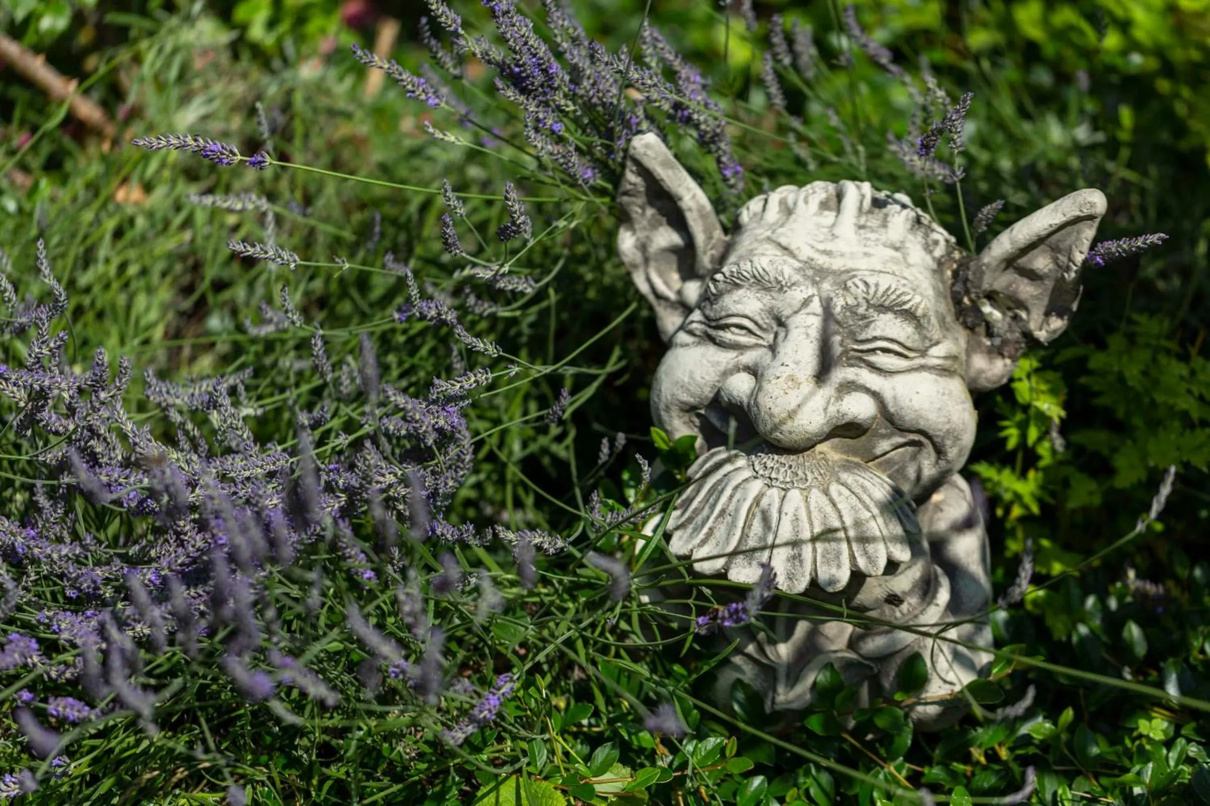 Property building in Villa Fantasia Budget Boutique Hotel