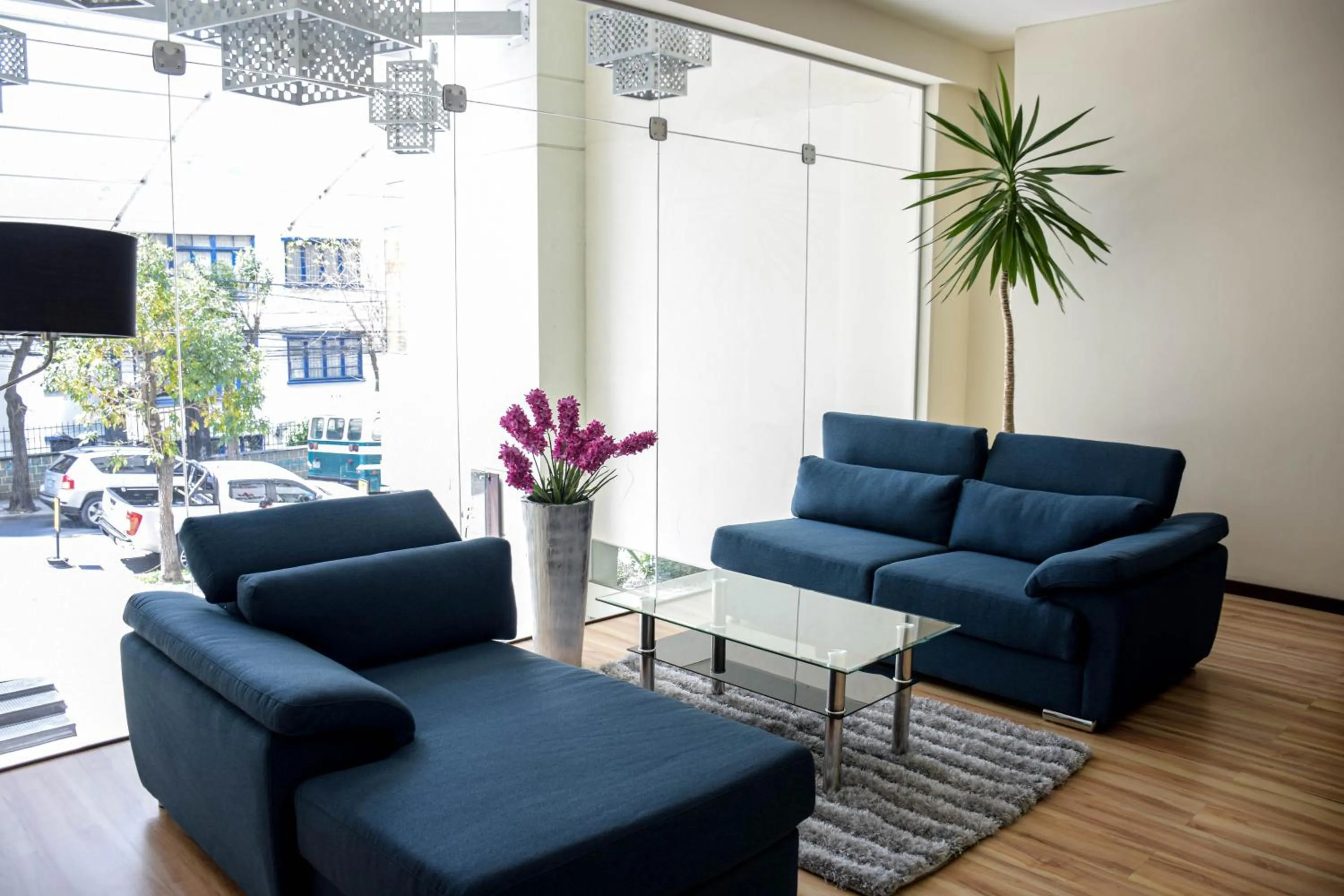 Living room in Hotel NC La Paz