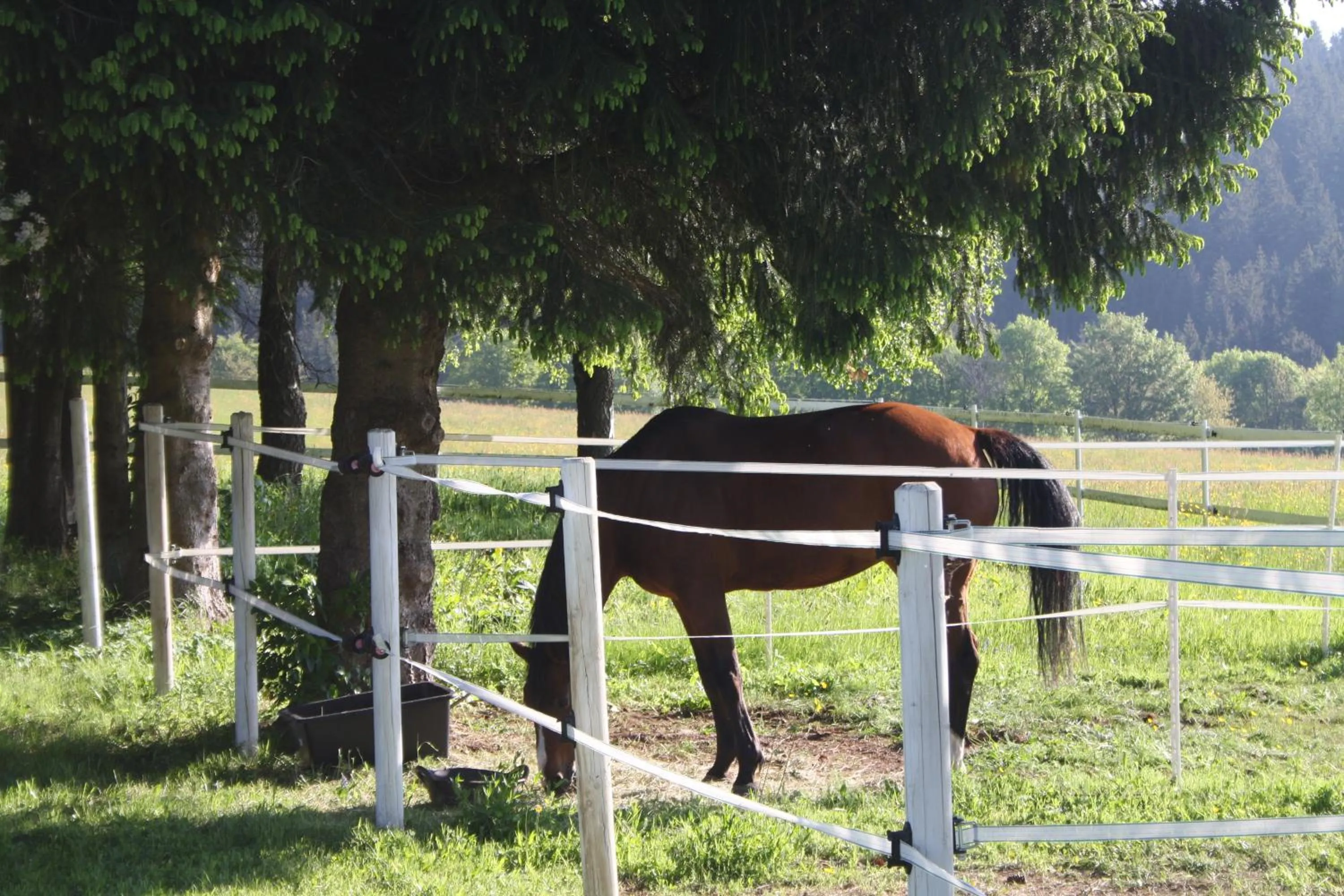 Garden in Landhotel Bartlehof