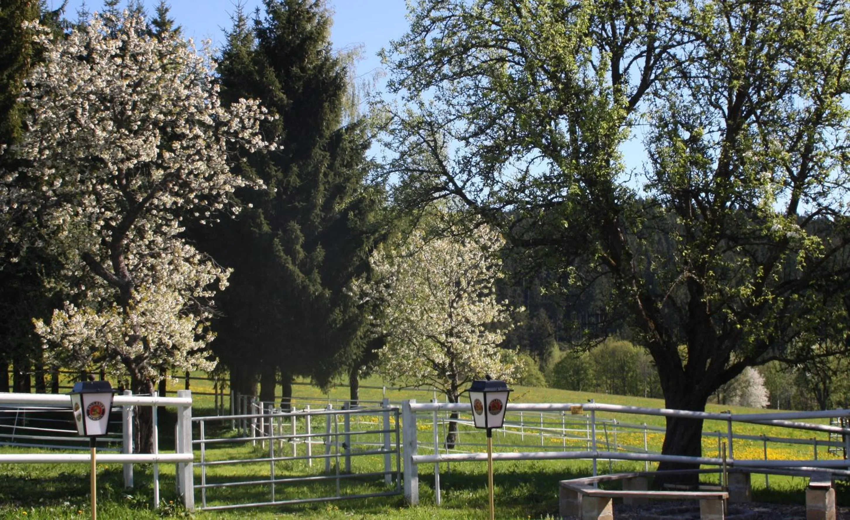 Facade/entrance in Landhotel Bartlehof