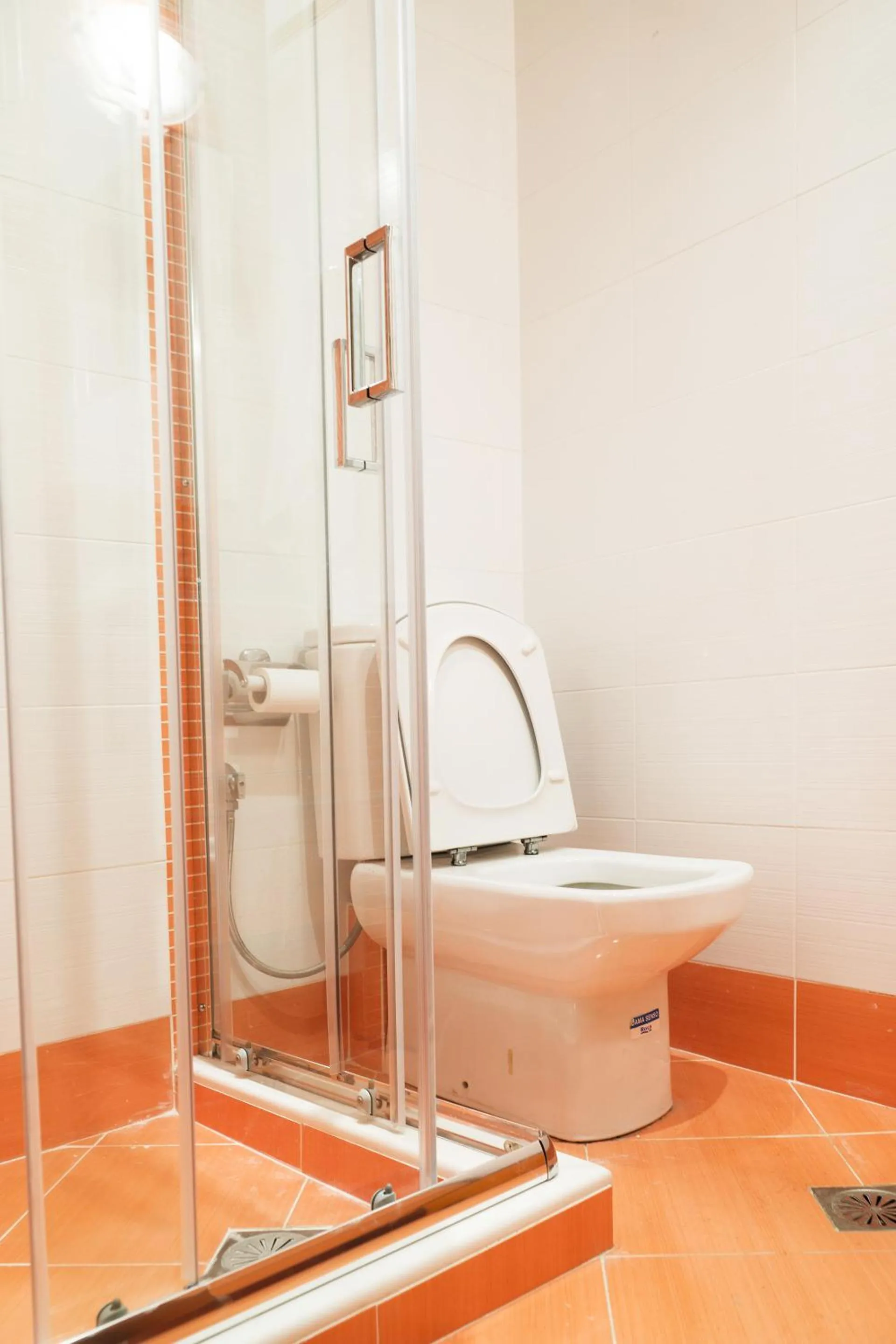 Shower in Villa d'Irene-near athens airport , 200 meters from the beach davis