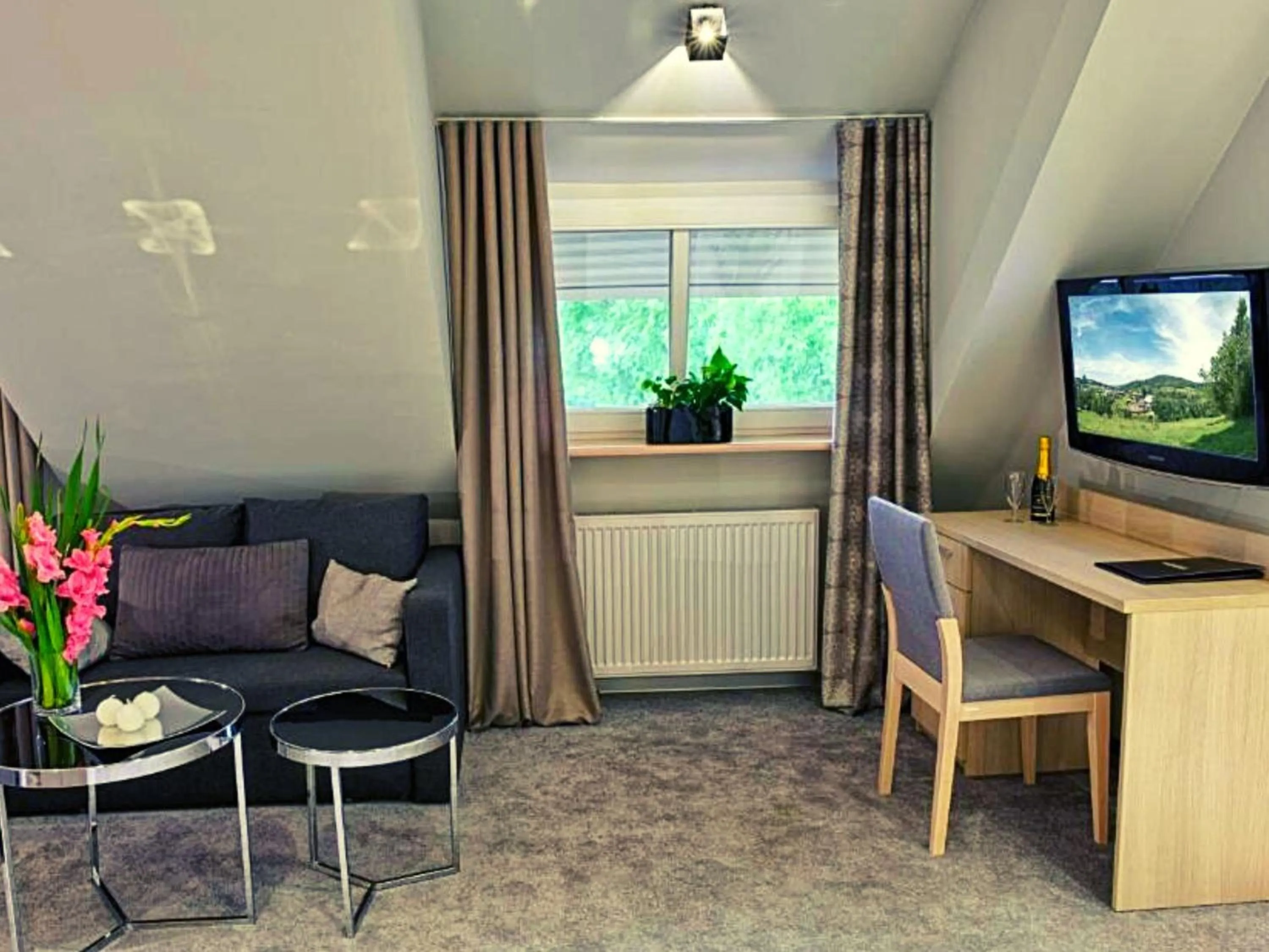 Communal lounge/ TV room in Hotel Podjadek