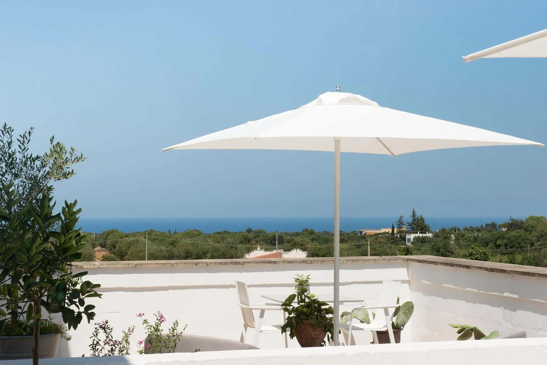 Junior Suite with Pool View - single occupancy in Masseria Le Torri