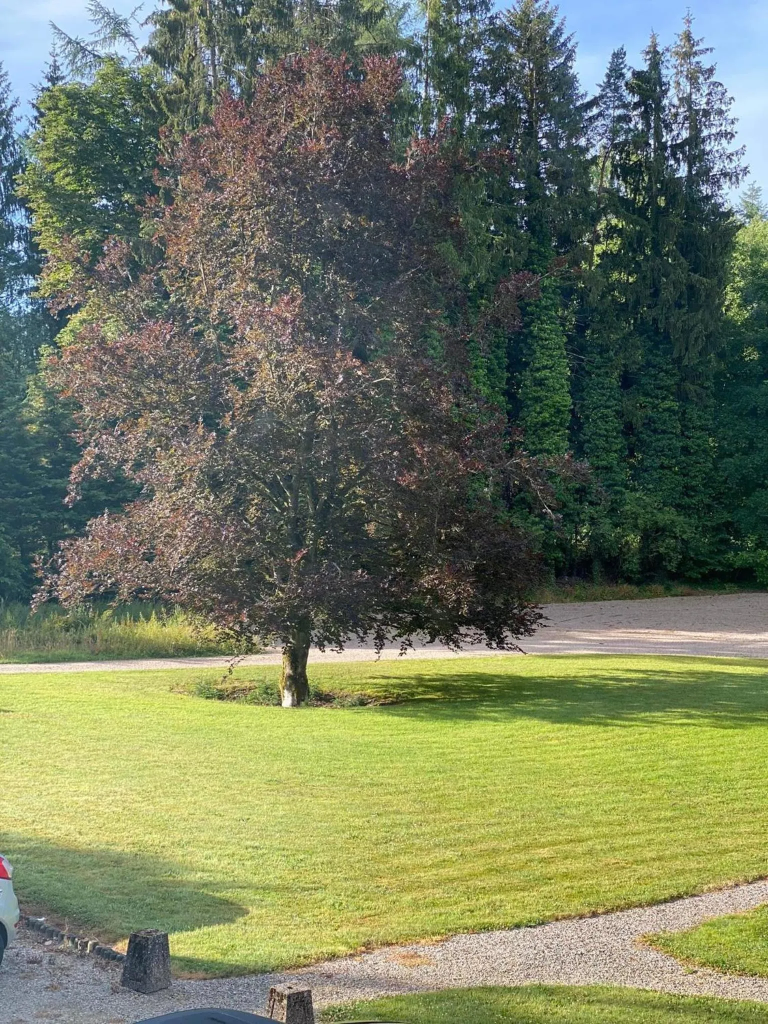 Property building in Parkhotel Villa des Effats Vielsalm