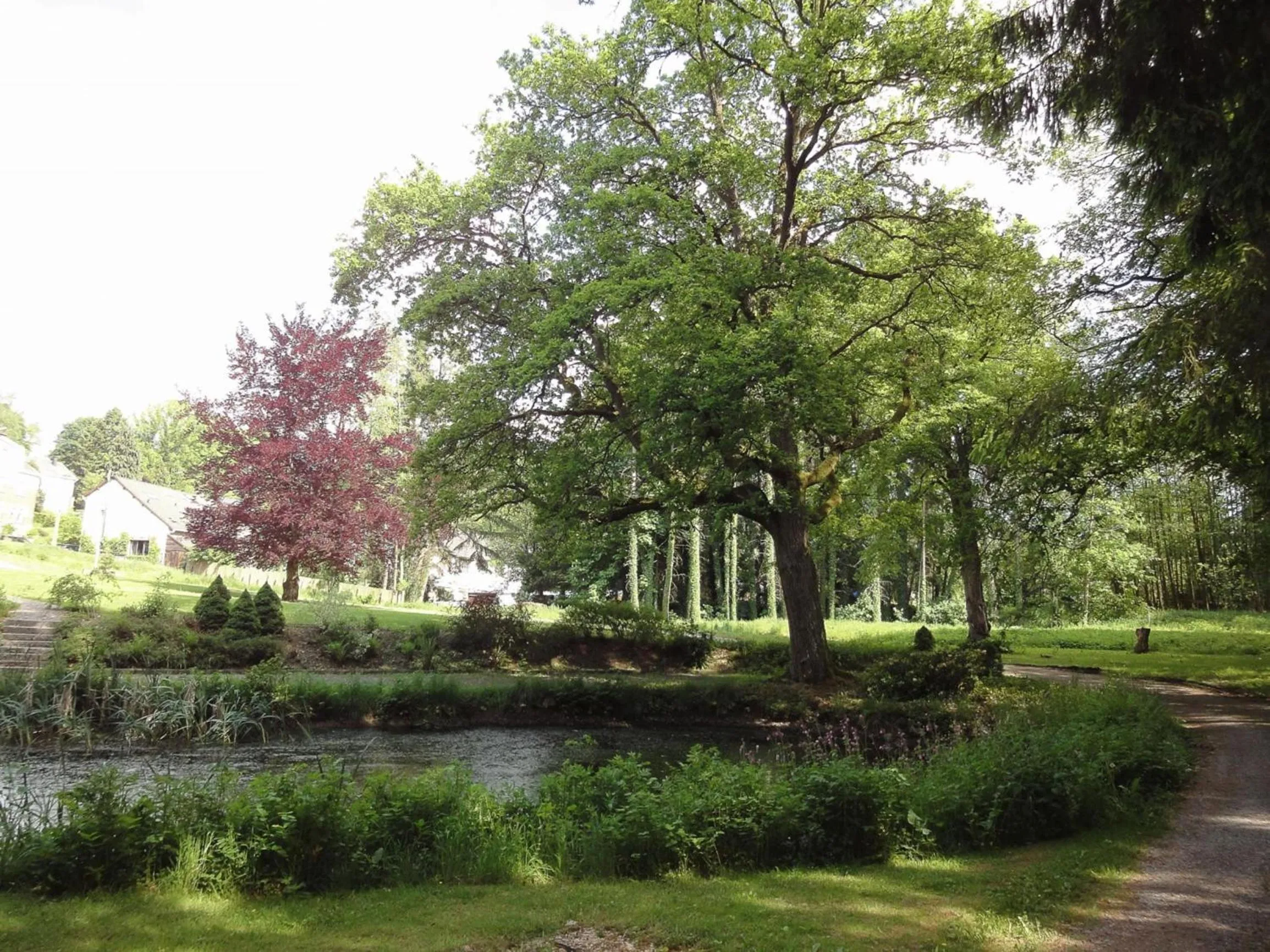 Garden in Parkhotel Villa des Effats Vielsalm