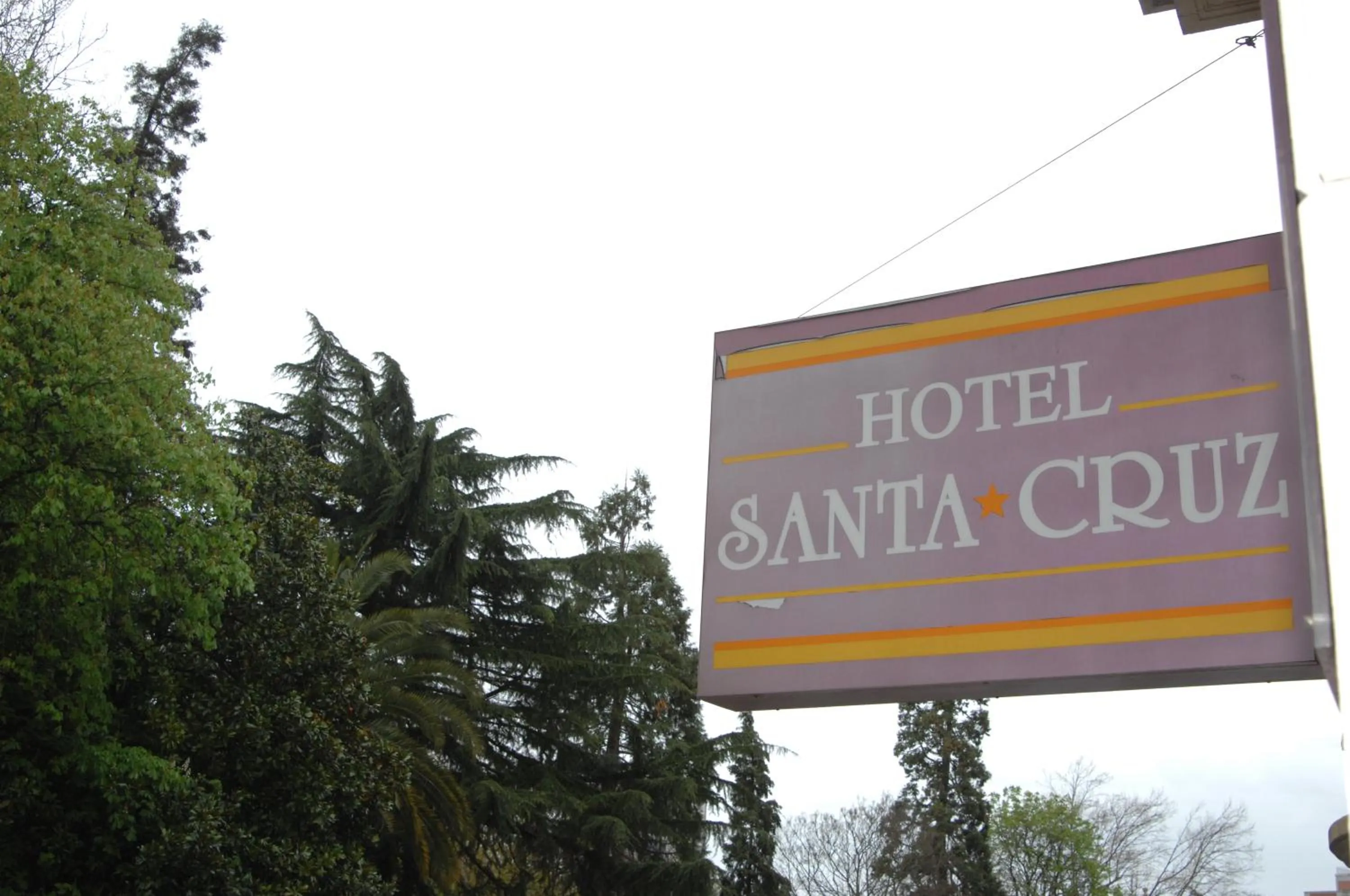 Logo/Certificate/Sign in Santacruz