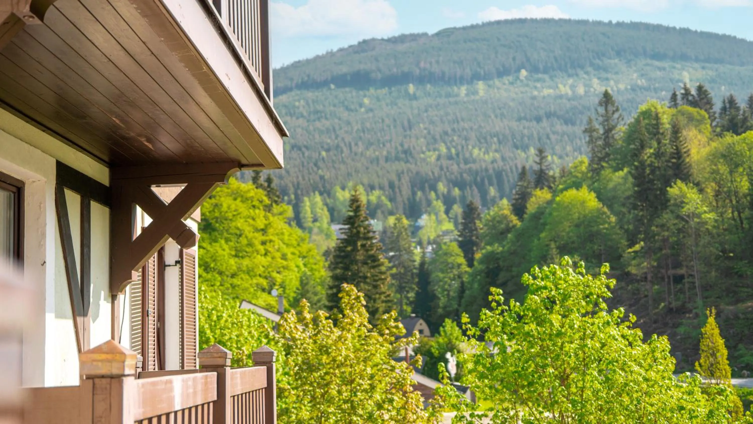 Day in Hotel Savoy Špindlerův Mlýn