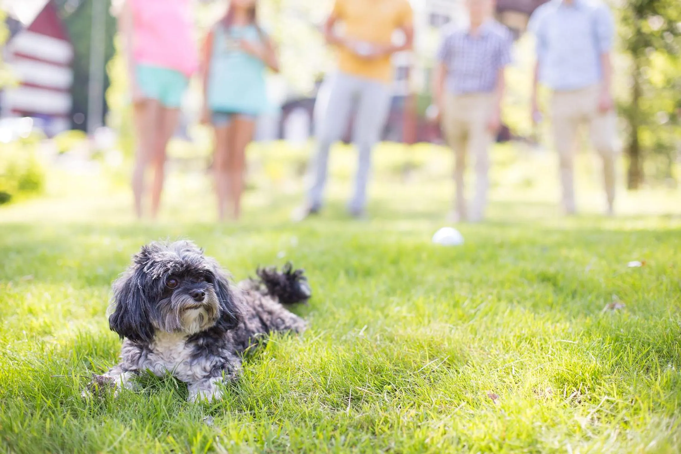 Area and facilities in Hotel Savoy Špindlerův Mlýn