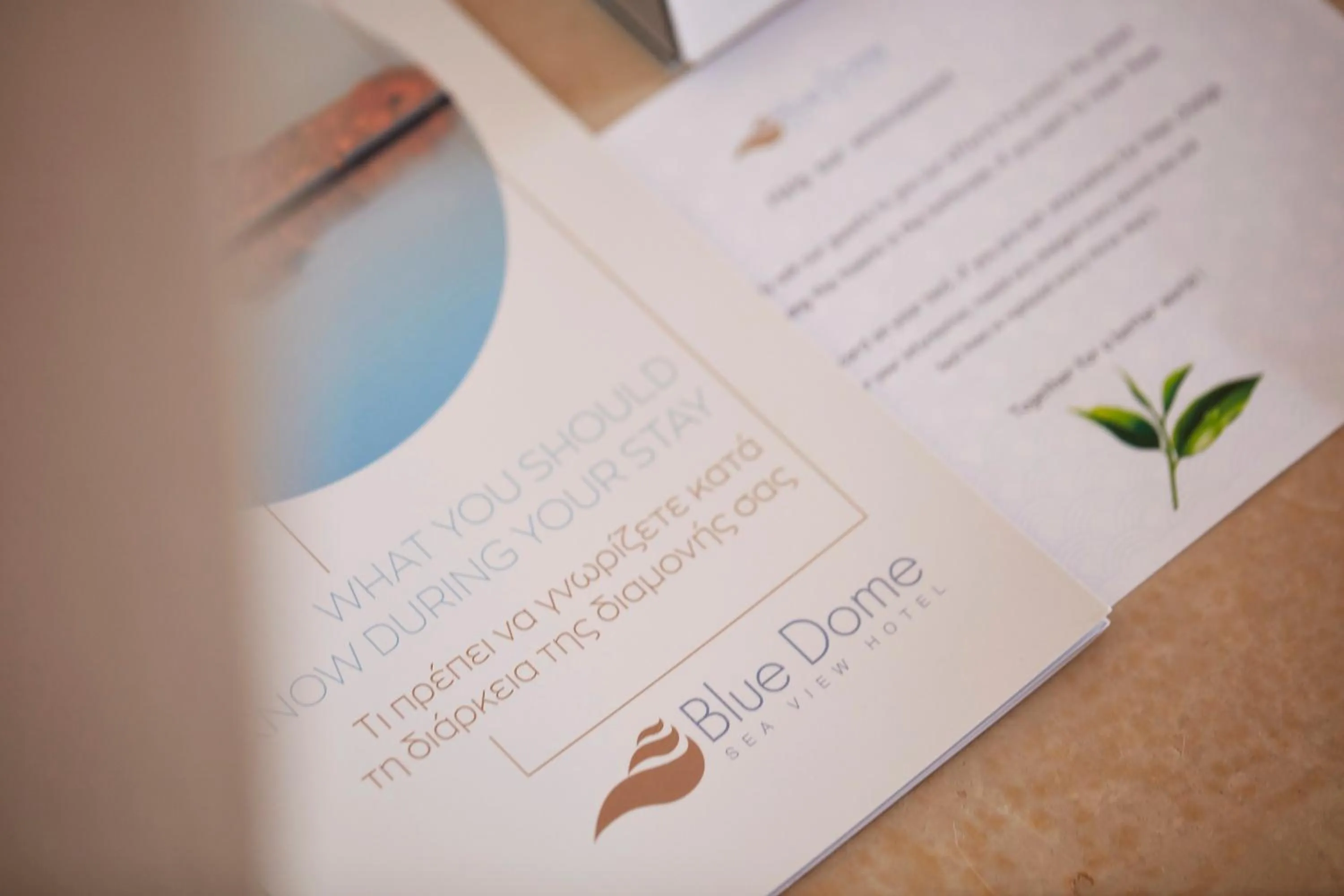 Decorative detail in Blue Dome Hotel