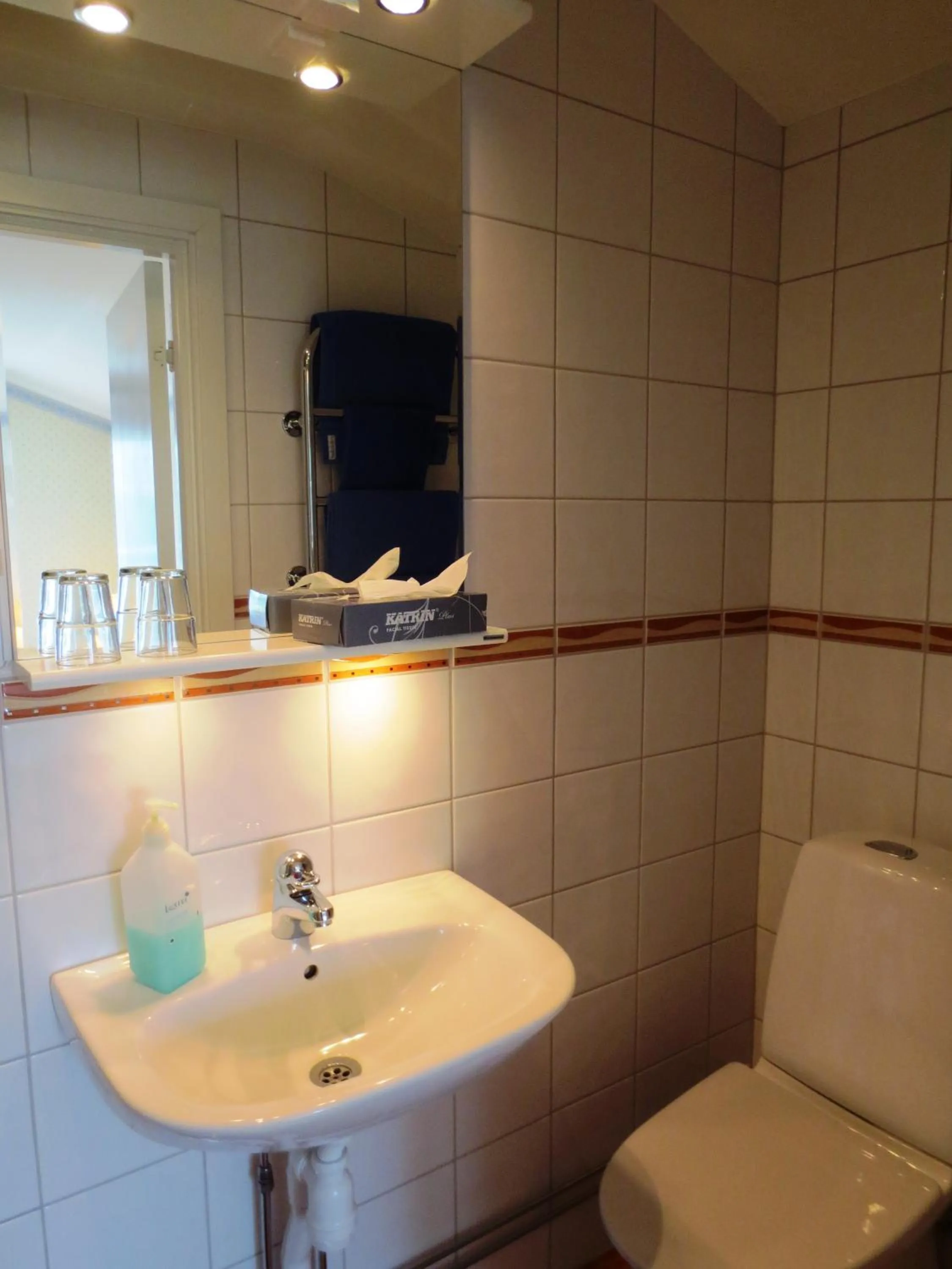 Toilet in Järvsöbaden