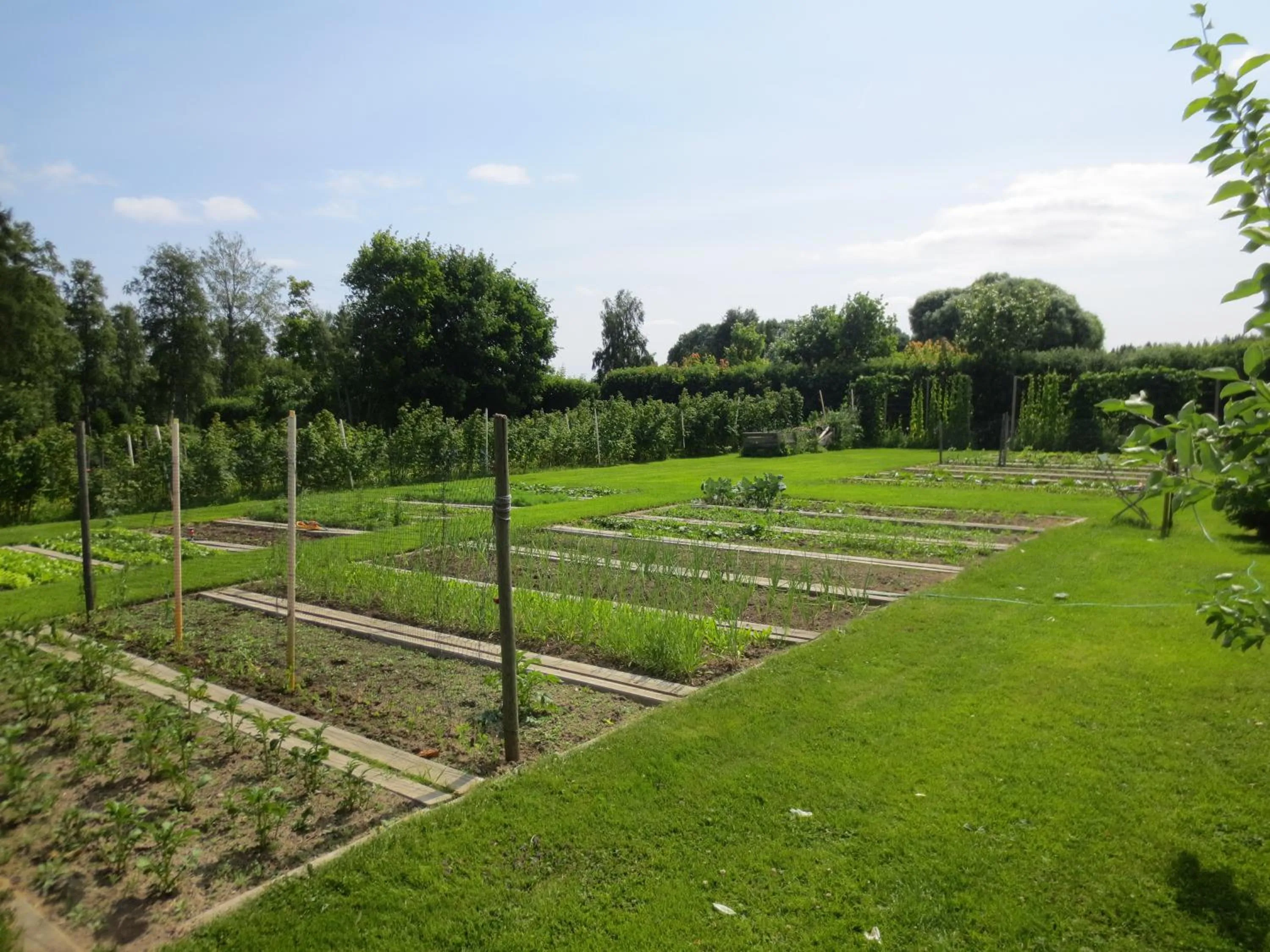 Garden in Järvsöbaden