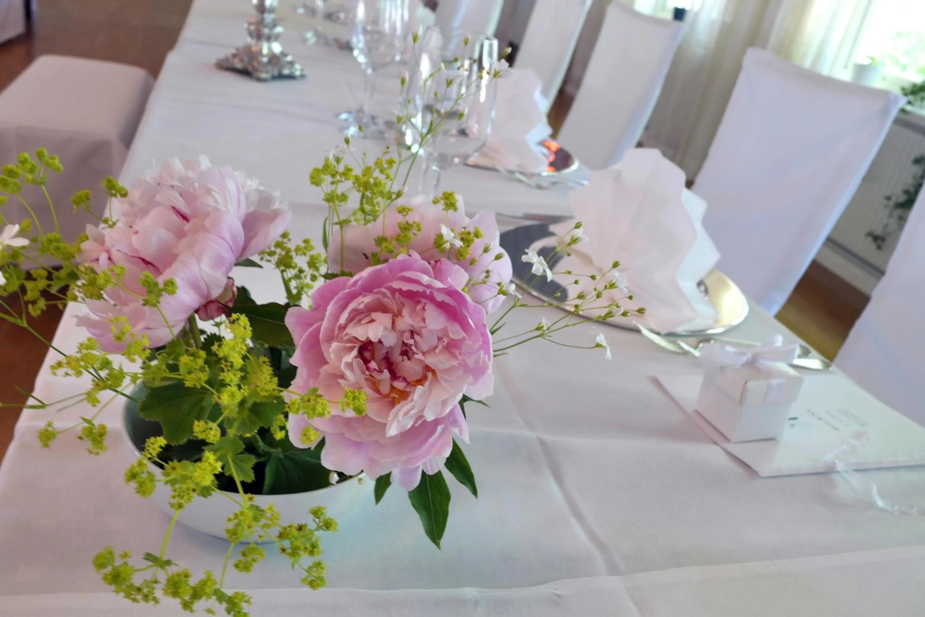 Banquet/Function facilities in Järvsöbaden