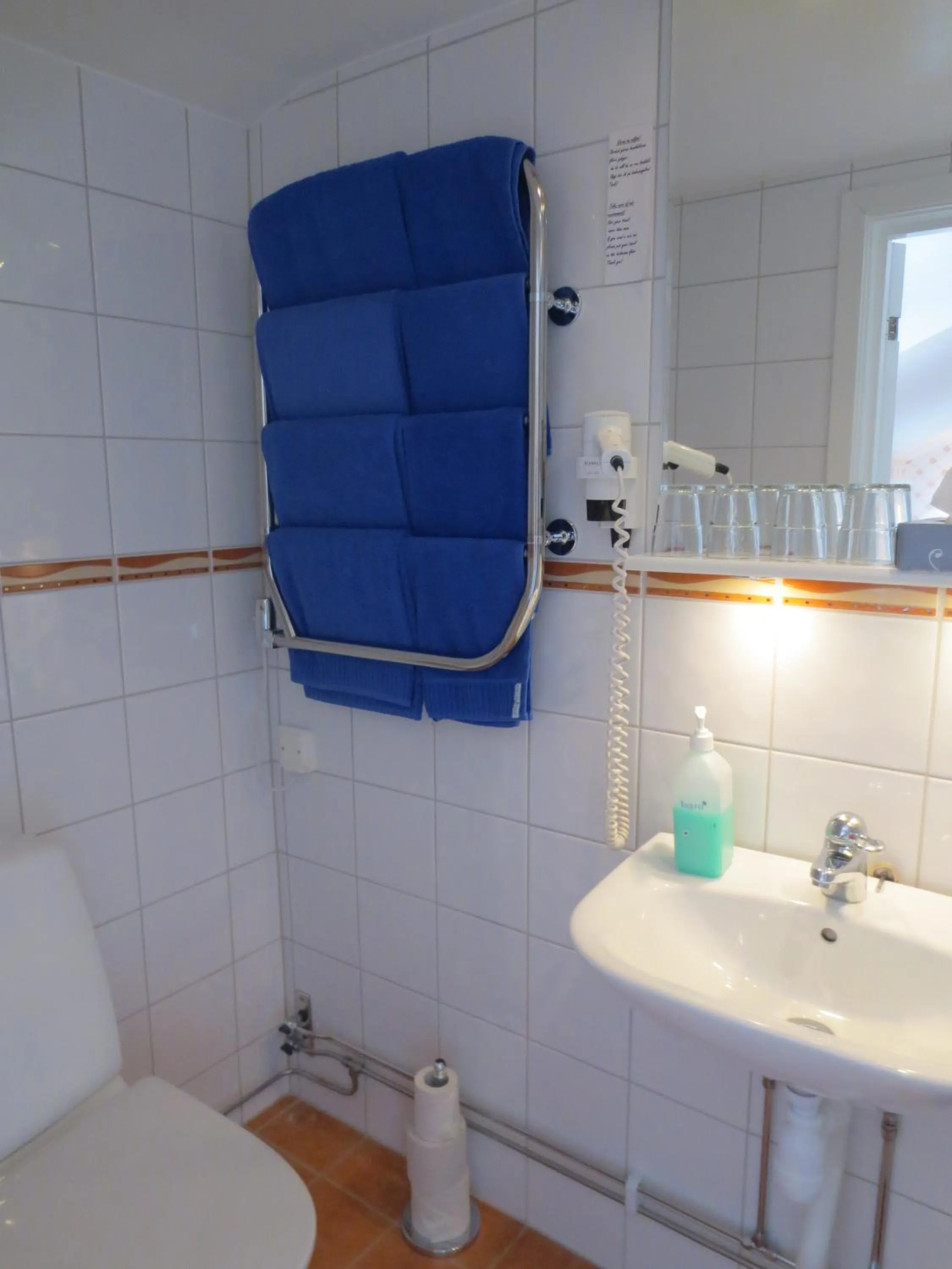 Toilet in Järvsöbaden