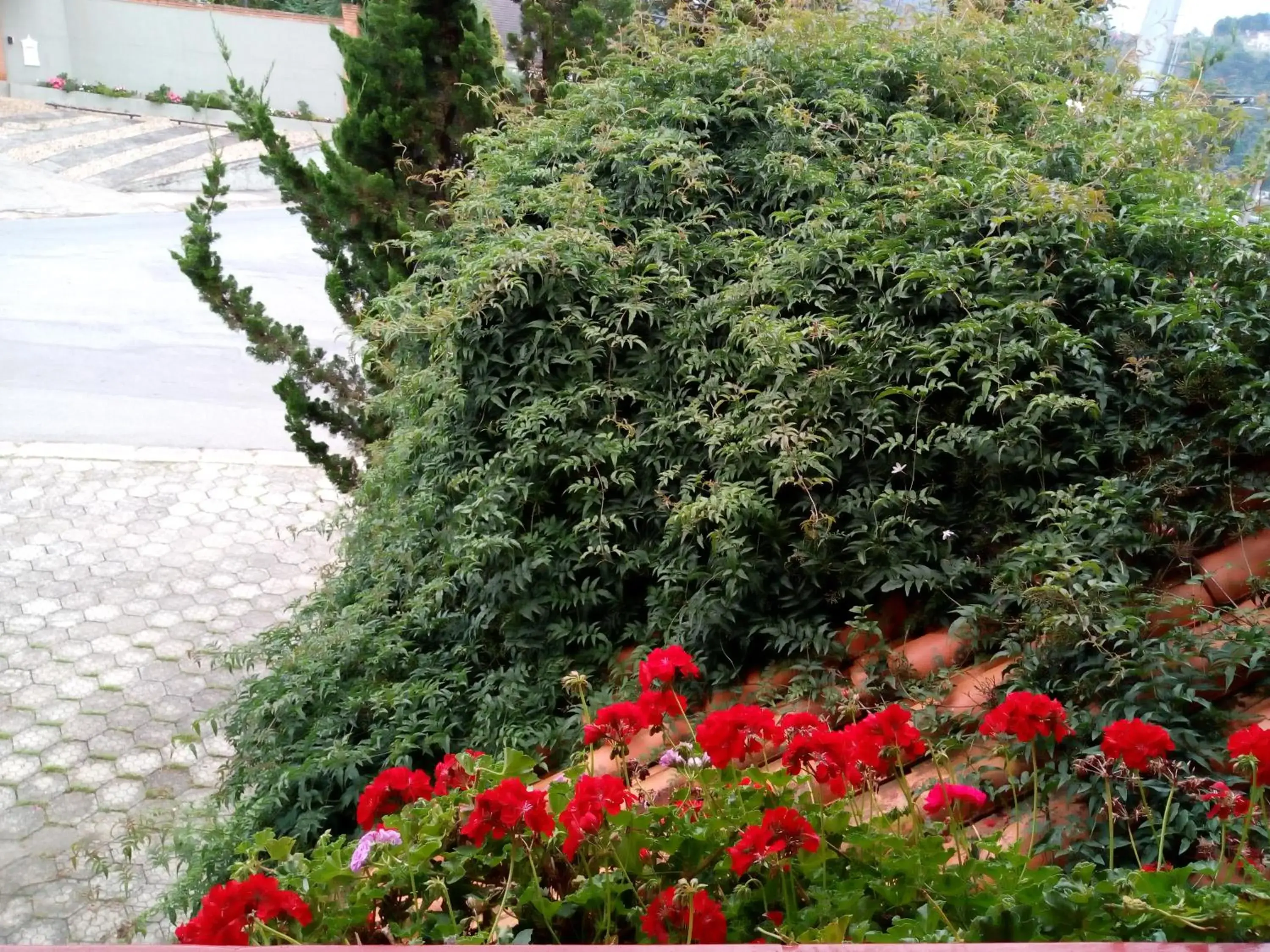 Standard Quadruple Room in Pousada Benevento Standard Quadruple Room in Pousada Benevento
