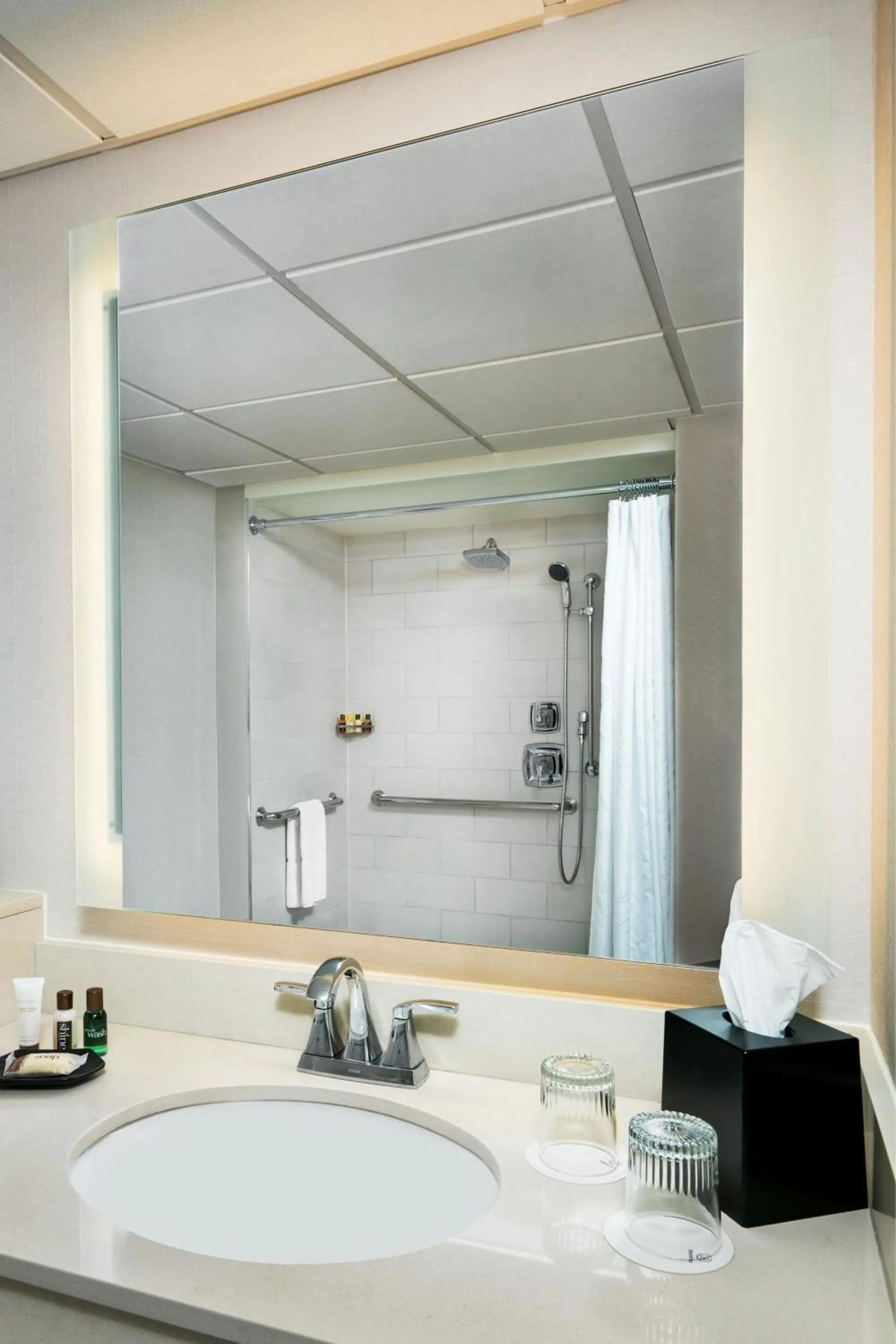 Bathroom in Sheraton Memphis Downtown Hotel