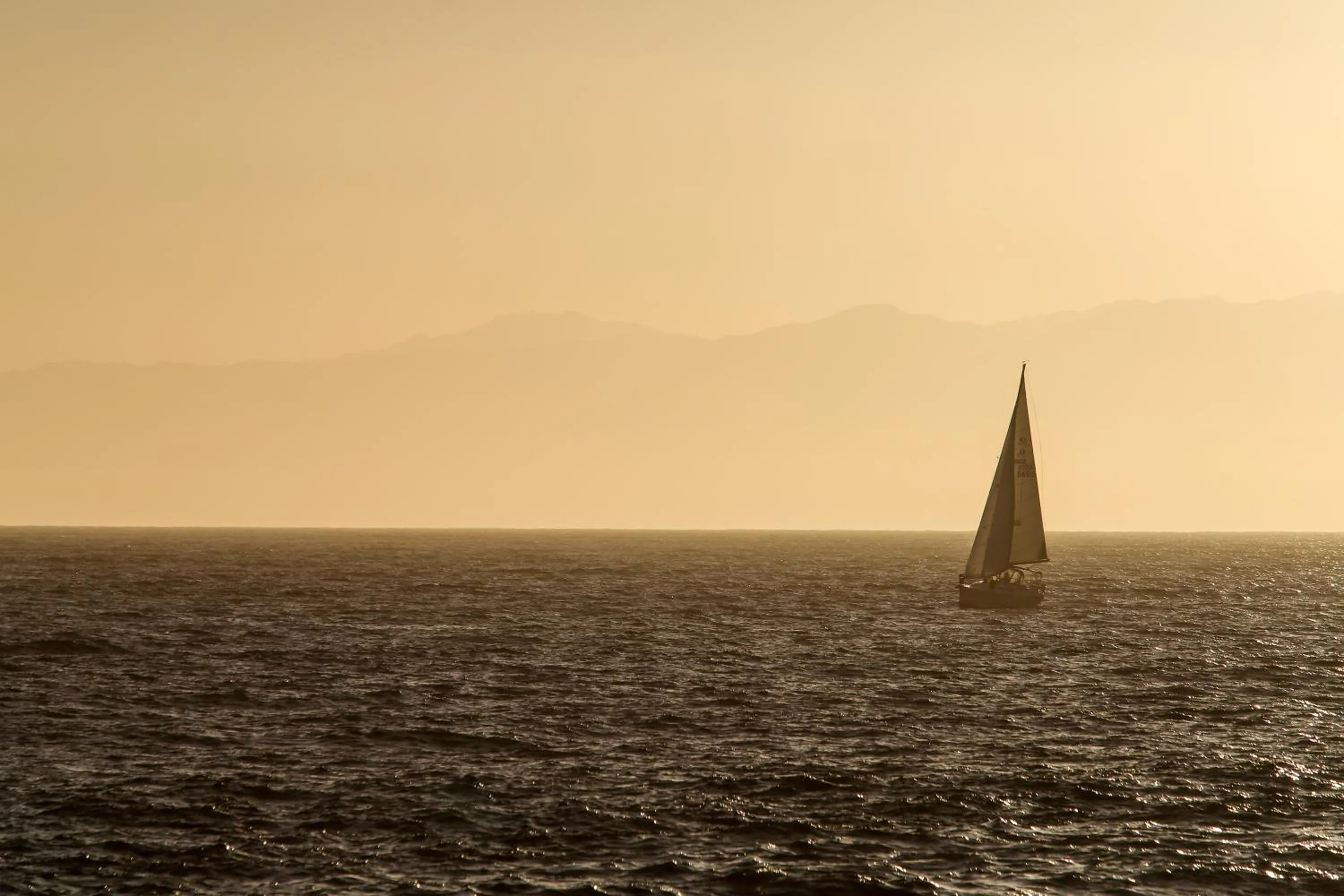 Natural landscape in Ocean Park Hotel